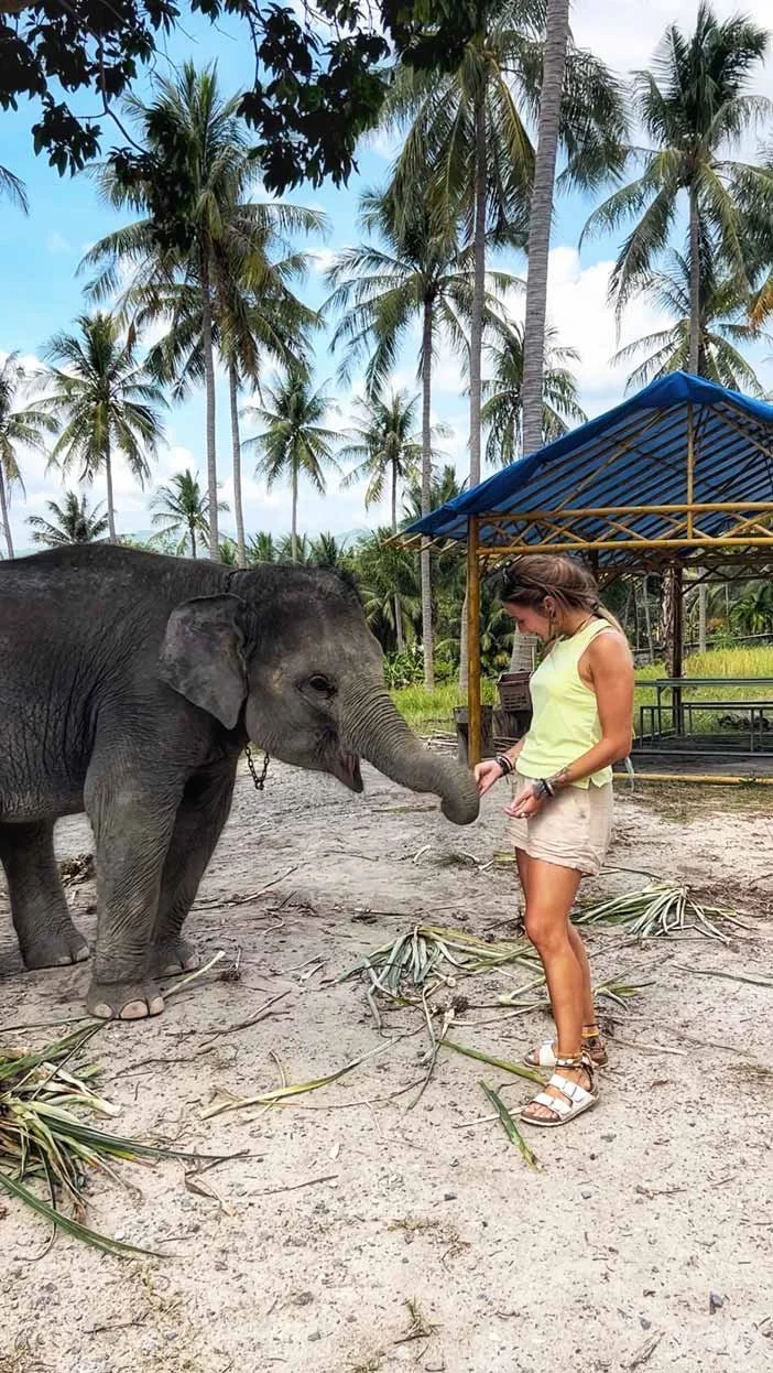 Charlotte en vêtements d'été en train de toucher la trompe d'un éléphant bébé dans un environnement tropical avec des palmiers, un ciel partiellement nuageux et une petite structure en toile bleue.