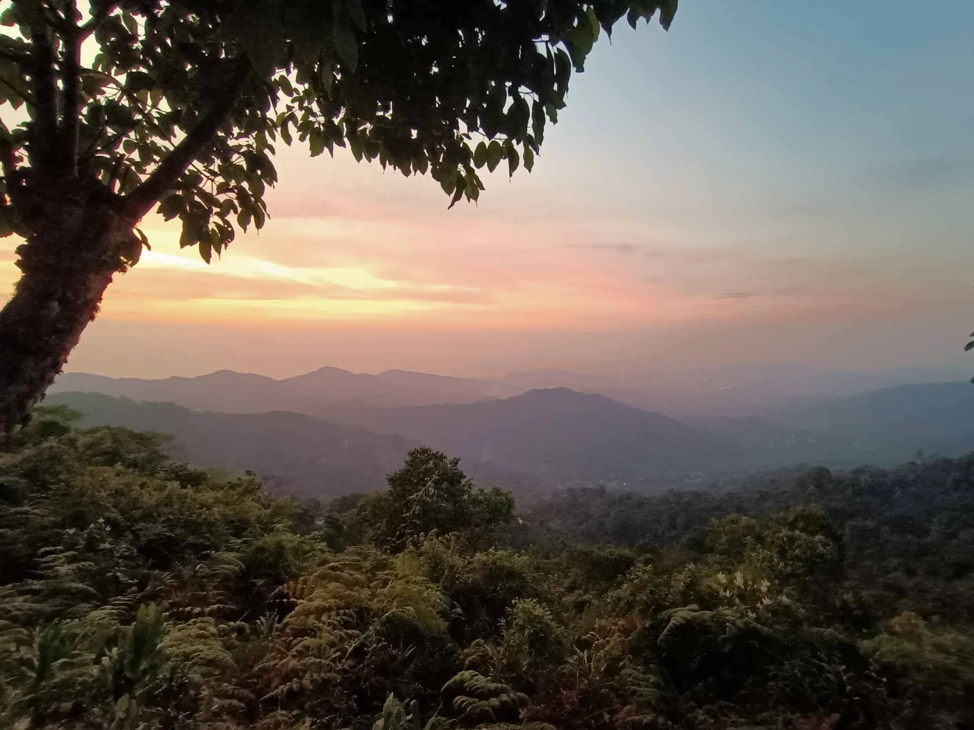 Un paysage de montagne au coucher du soleil, avec un arbre en premier plan et des collines recouvertes de végétation dense.