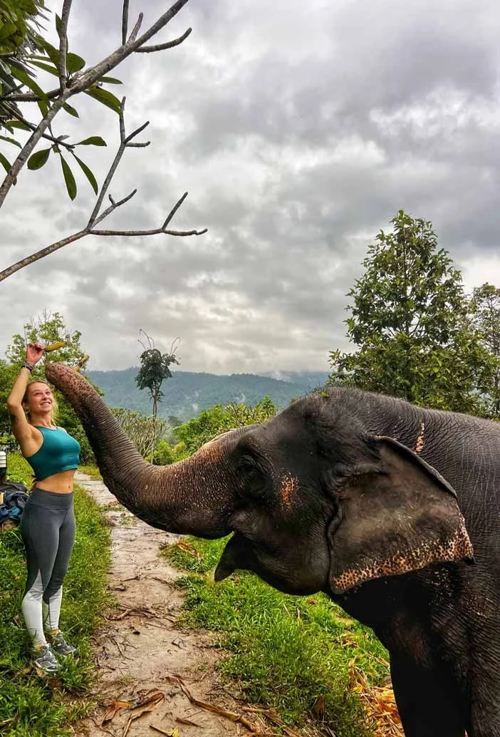 Charlotte en vêtements de sport vert et gris donne à manger à un éléphant dans une zone naturelle avec des arbres et des montagnes en arrière-plan, sous un ciel nuageux.