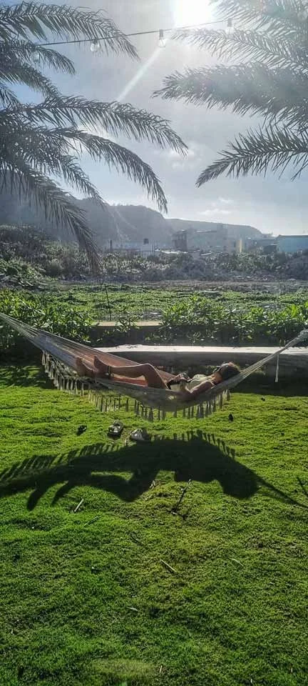 Charlotte dormant dans un hamac sous des palmiers, avec un ciel partiellement nuageux et une vue vers l'horizon avec des bâtiments au loin.