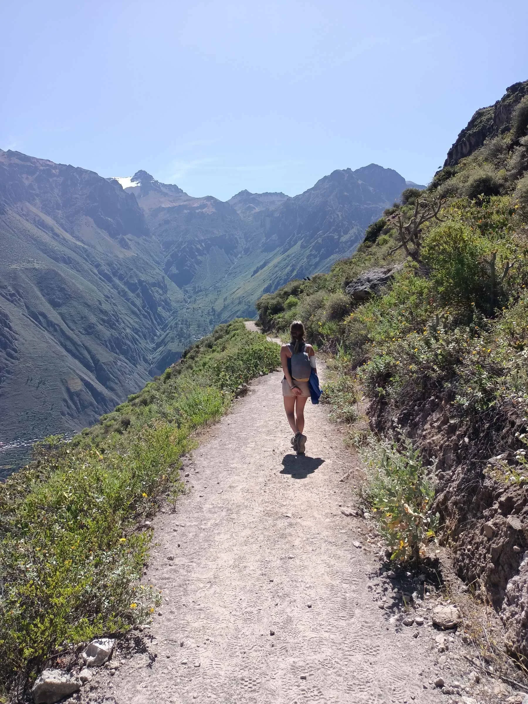 Une femme marche sur un sentier de montagne entouré de végétation verte avec en arrière-plan des montagnes avec des sommets enneigés sous un ciel bleu clair.