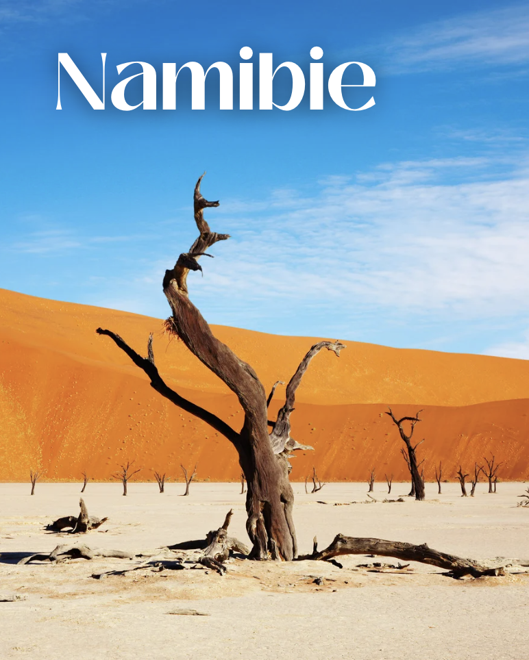 Paysage désertique avec un arbre mort au premier plan, dunes de sable orange en arrière-plan, et un ciel bleu avec quelques nuages. Le mot 'Namibie' en haut de l'image.