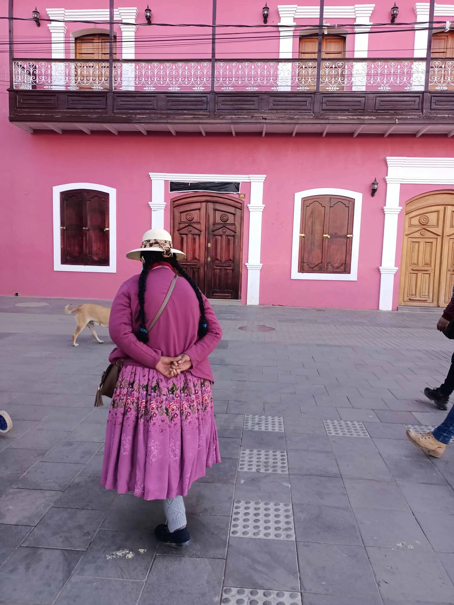 Une femme portant un chapeau blanc et un habit coloré de rose et violet, observant une rue pavée devant un bâtiment rose avec des fenêtres et portes en bois, avec un chien de dos à gauche.