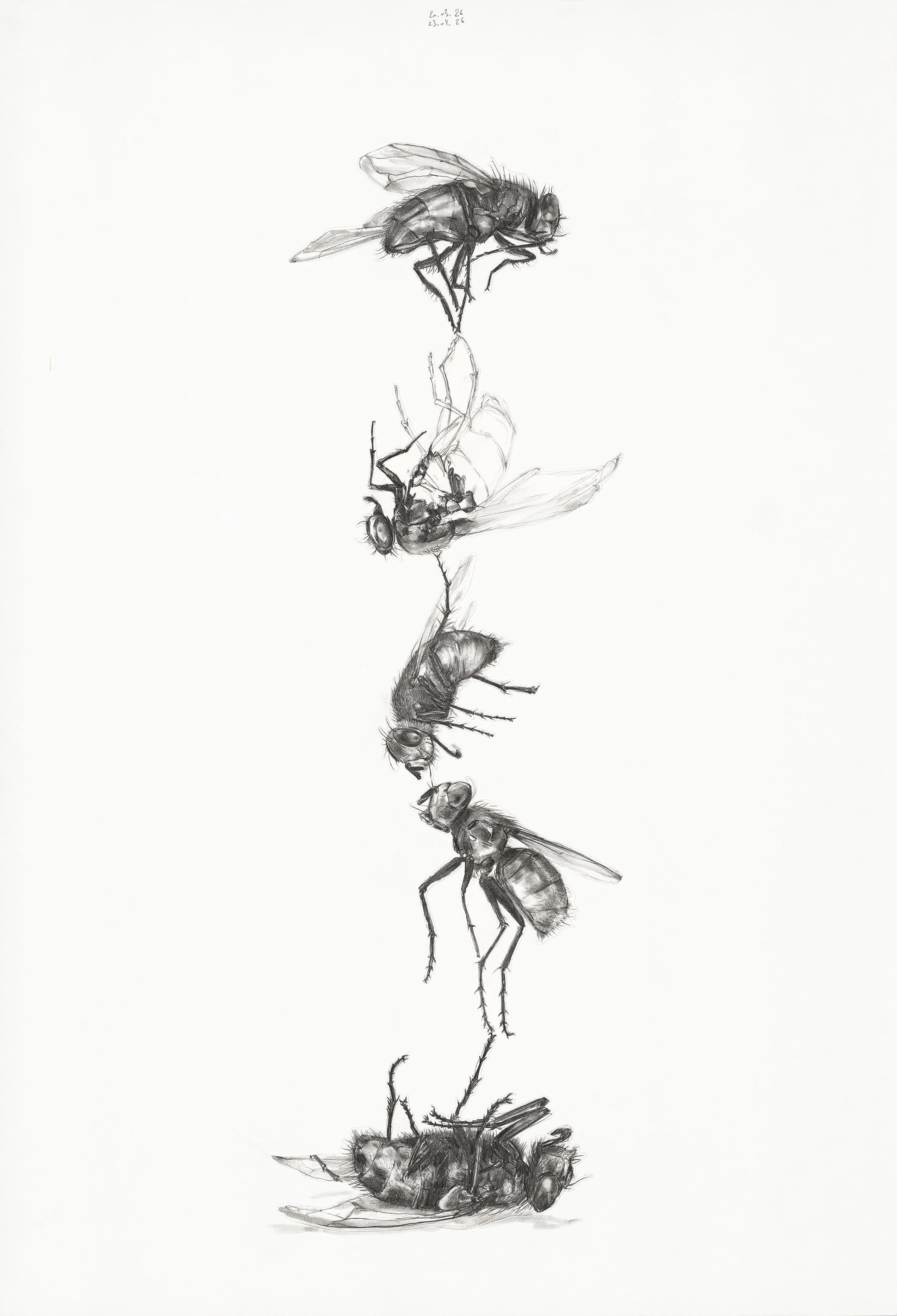 Balance Akt, 20.03.26-23.04.26/1
[mechanical pencil and collage on paper, 110 x 75 cm]