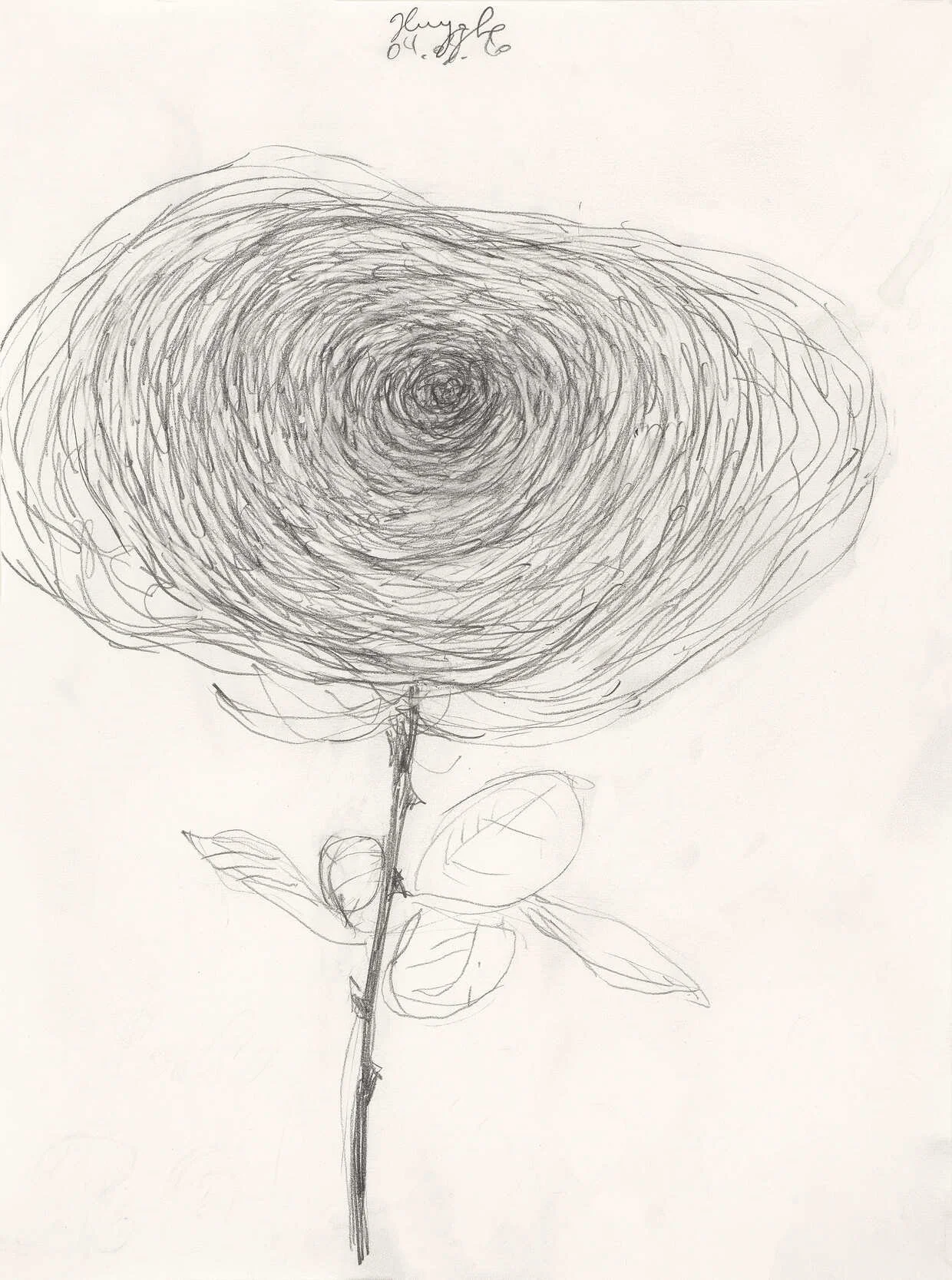 La Rose,
04.03.20/1
[pencil on paper,
35,5 x 26,3 cm]