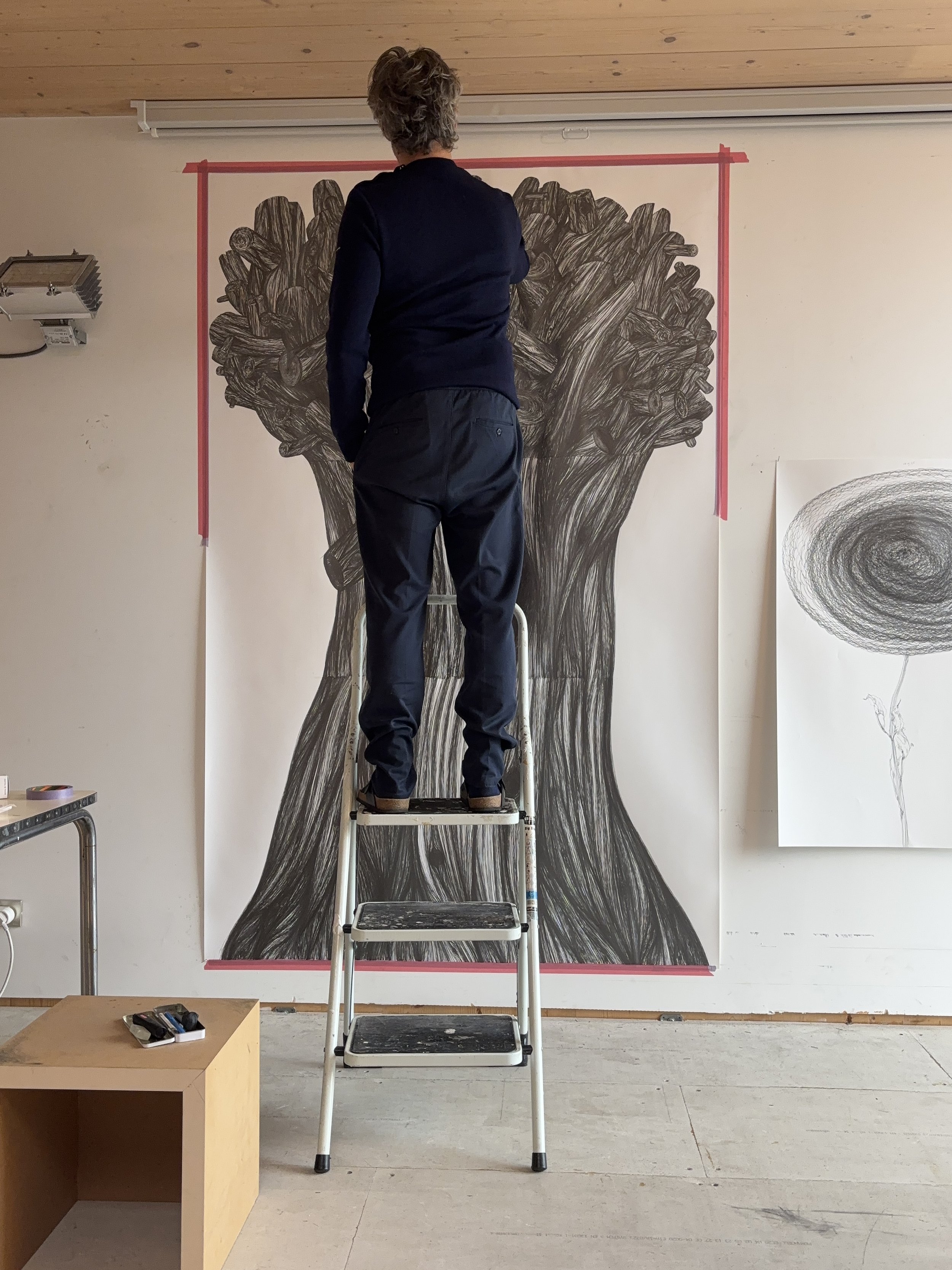 STUDIOVIEW - Maarkedal (BE), 2025