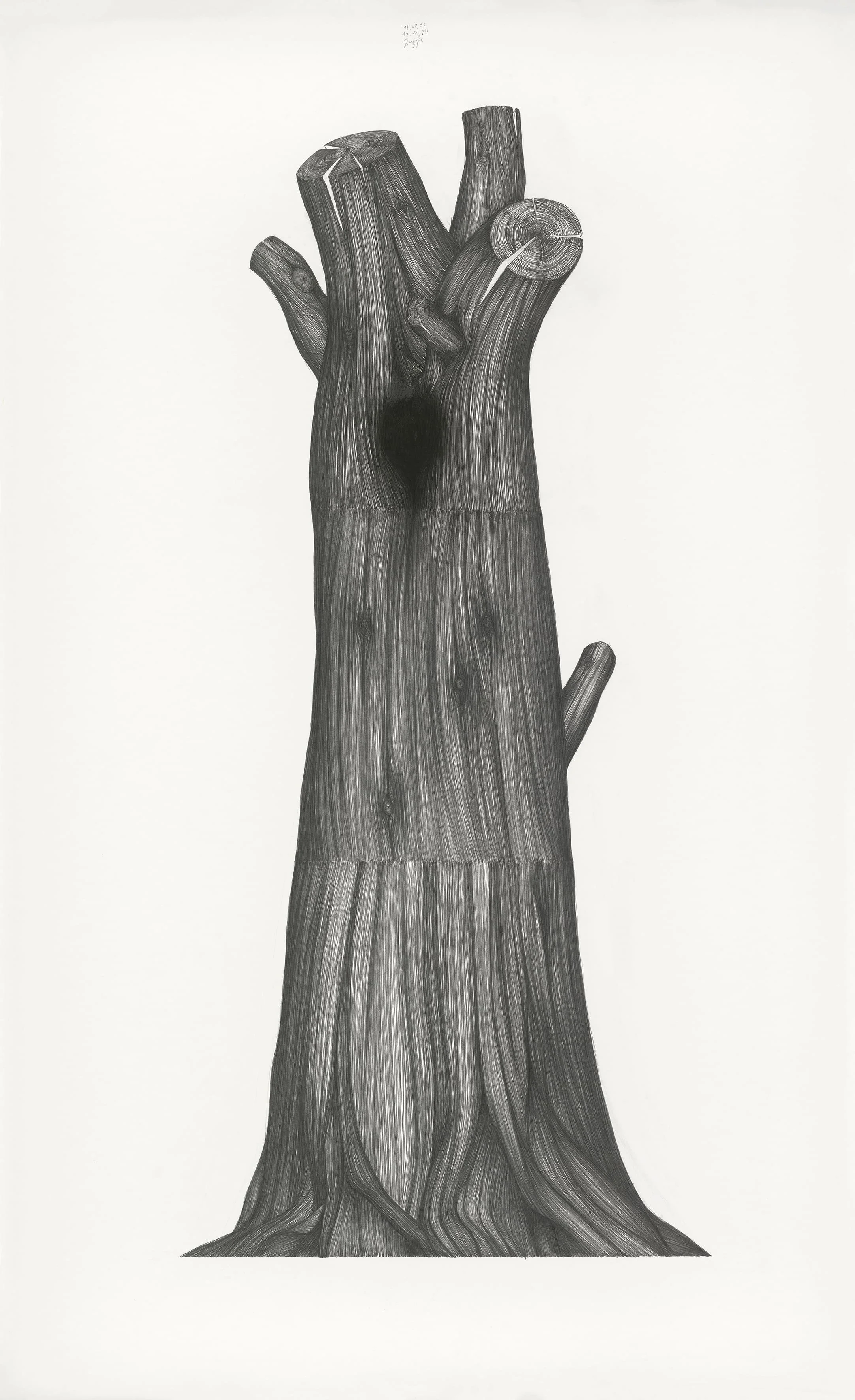 Truncated Tree (XXL)
12.02.24-10.11.24
pencil on paper
260 x 150 cm