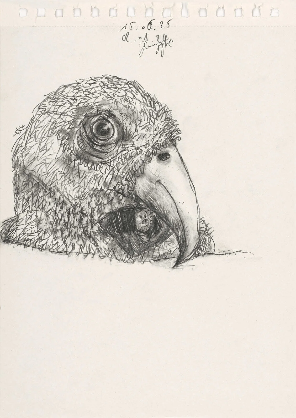 Ça Va Citoyen? 
02.01.24-15.06.25
[pencil on paper,
29,7 x 21 cm]