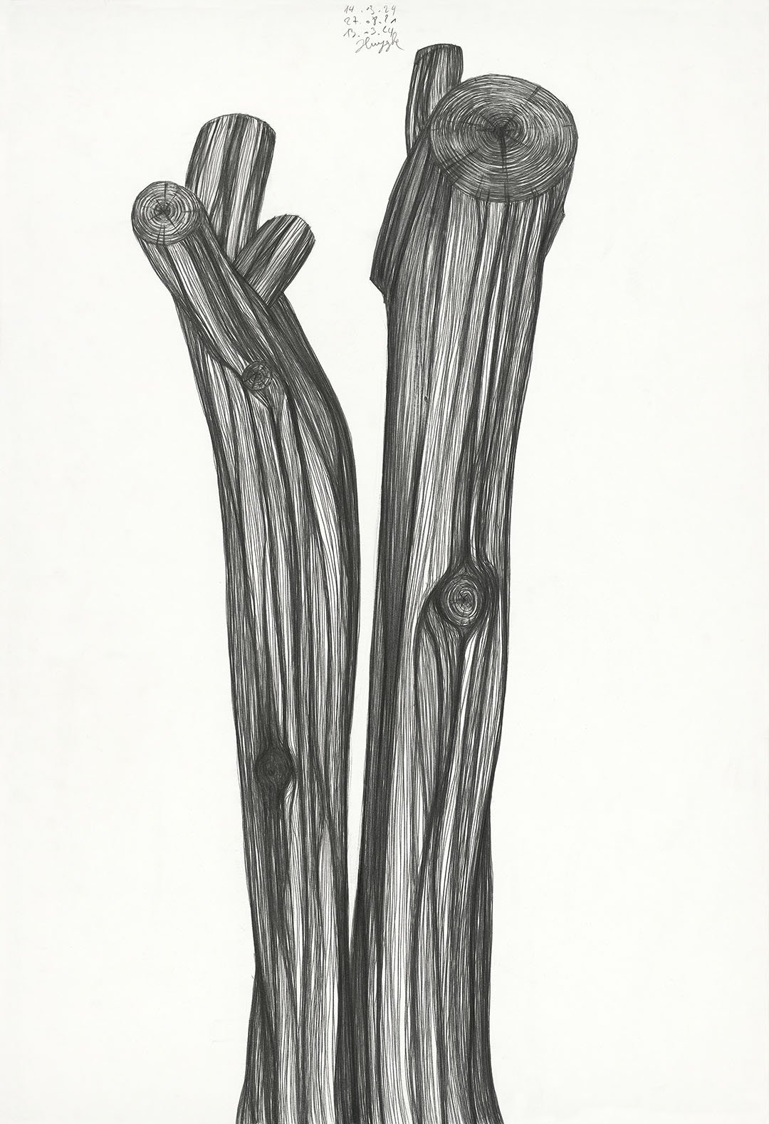 Truncated Tree (L)
27.08.21 - 14.03.24
pencil on paper
110 x 70 cm