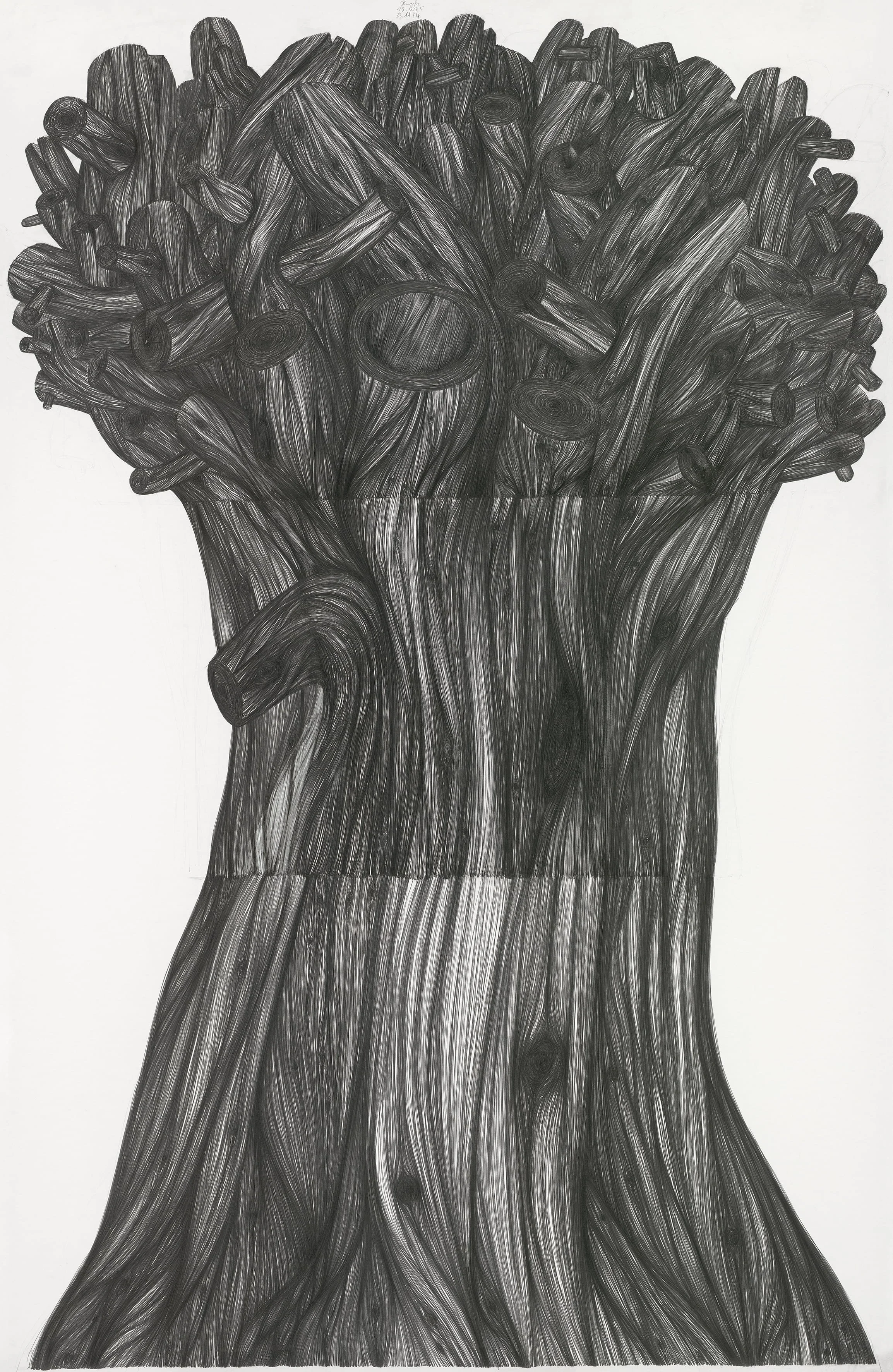 Truncated Tree (XXL)
23.11.24-15.10.25
pencil on paper
250 x 150 cm