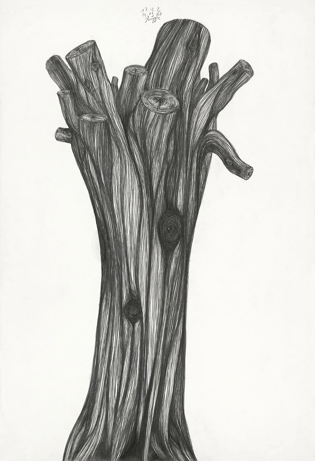 Truncated Tree (L)
17.03.20 - 14.03.24
pencil on paper
110 x 70 cm