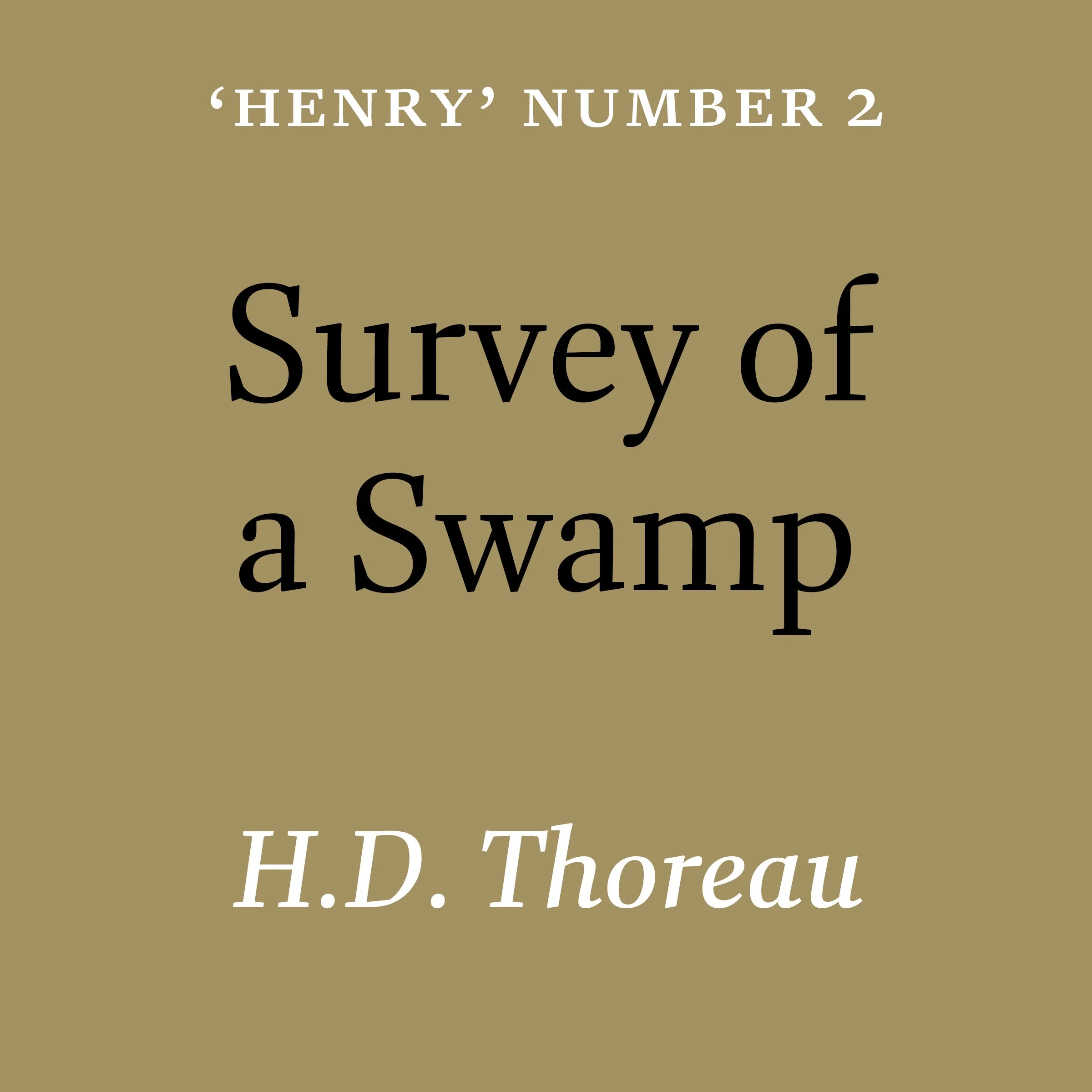 VH0009 Swamp d01.jpg