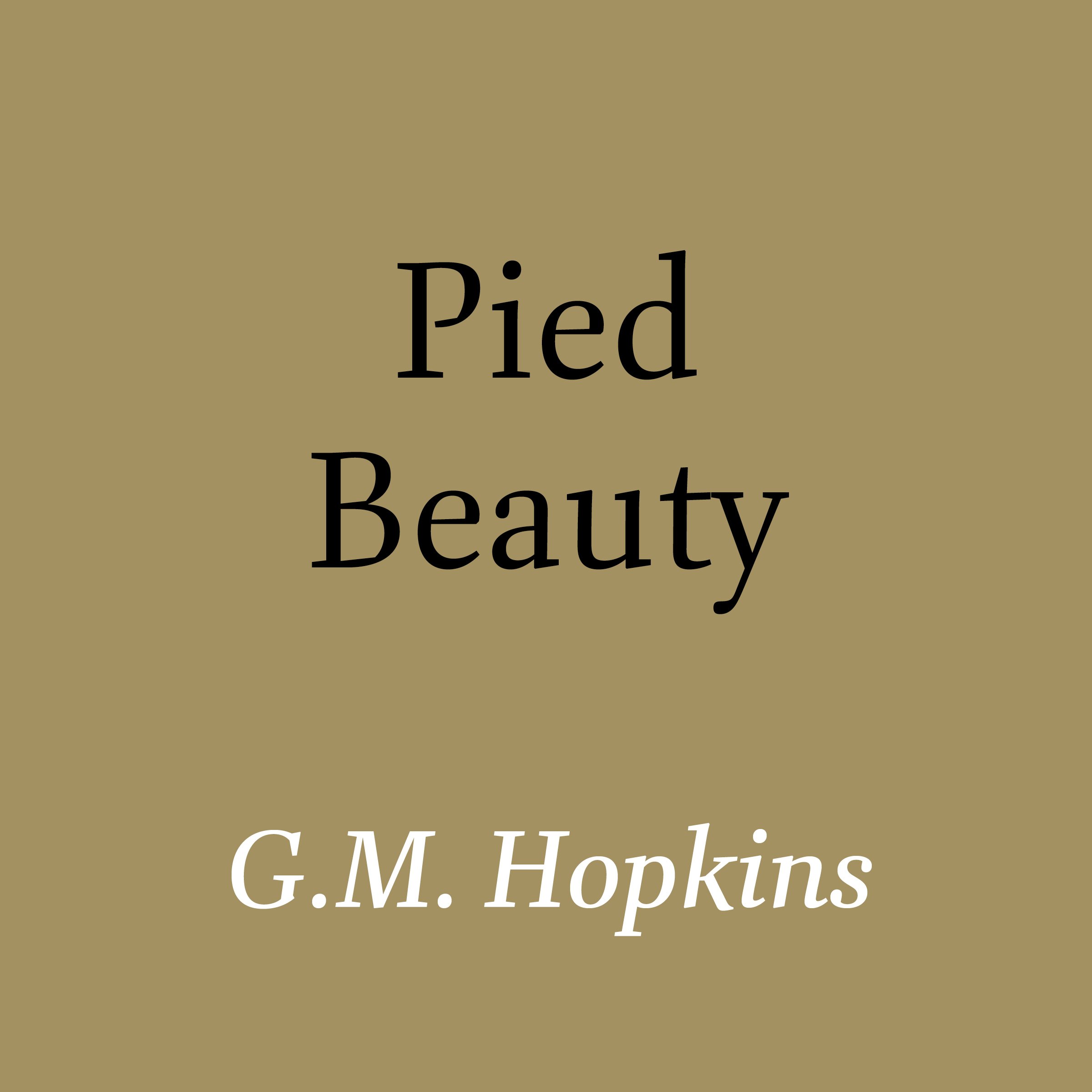 VH0017 Pied B d01.jpg