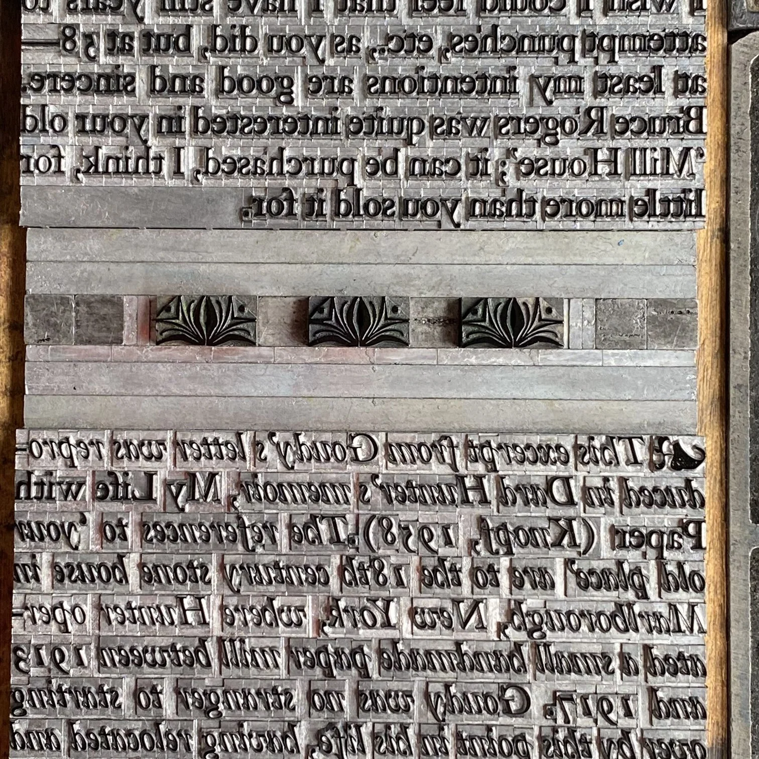 Goudy02 IMG_8338.jpg