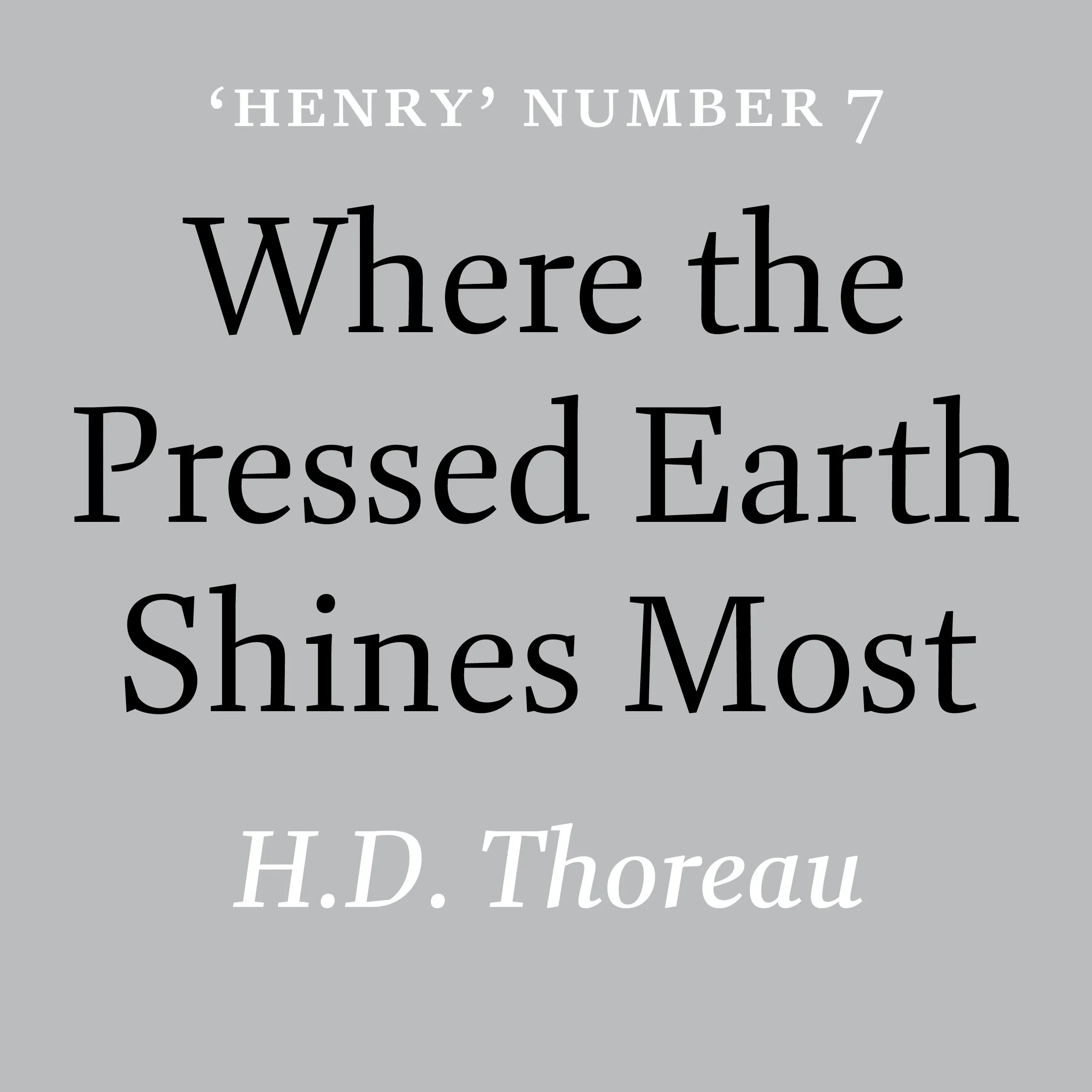 VH0028 Pressed earth badge d01.jpg