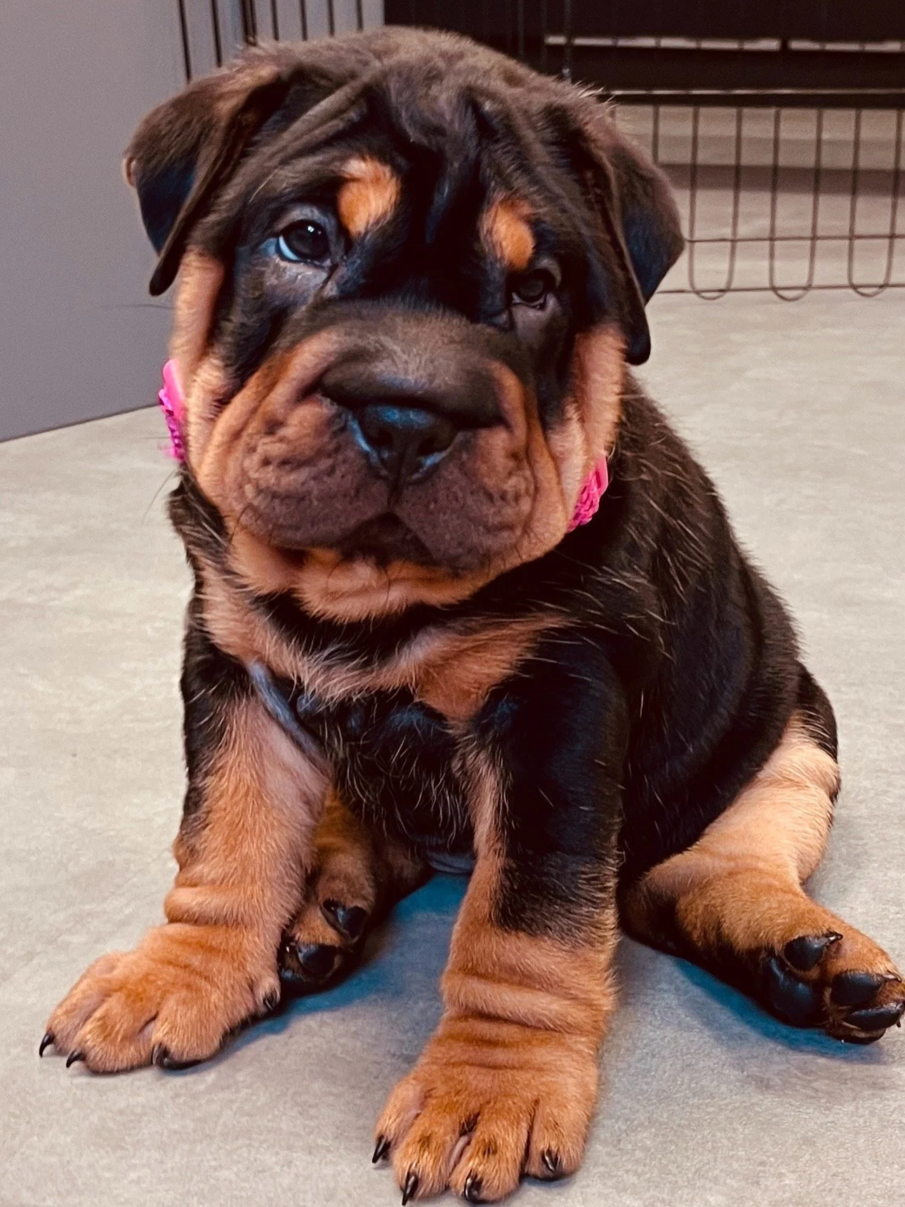 Friday 13th February - Valentines Special