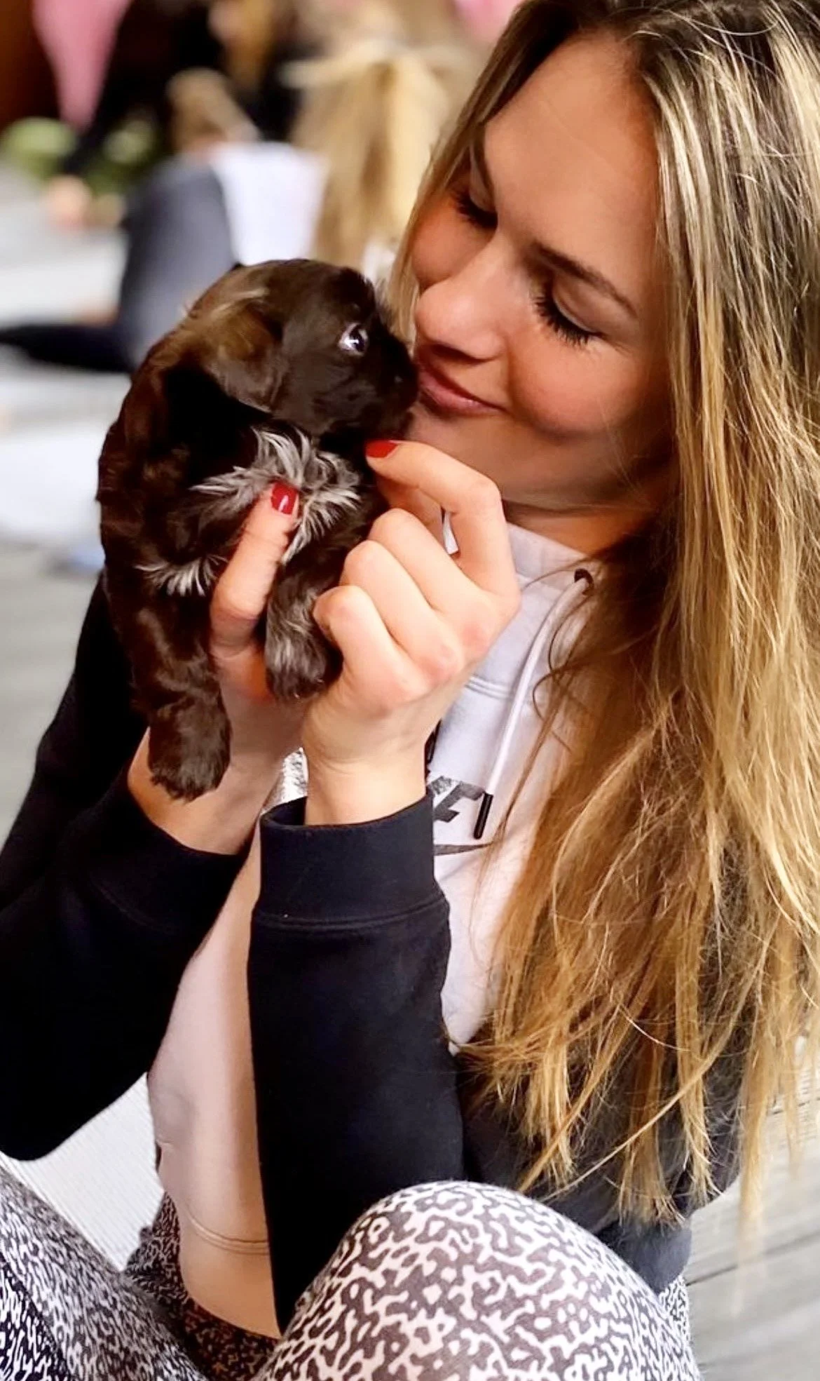 Puppy Snuggles Only Experience