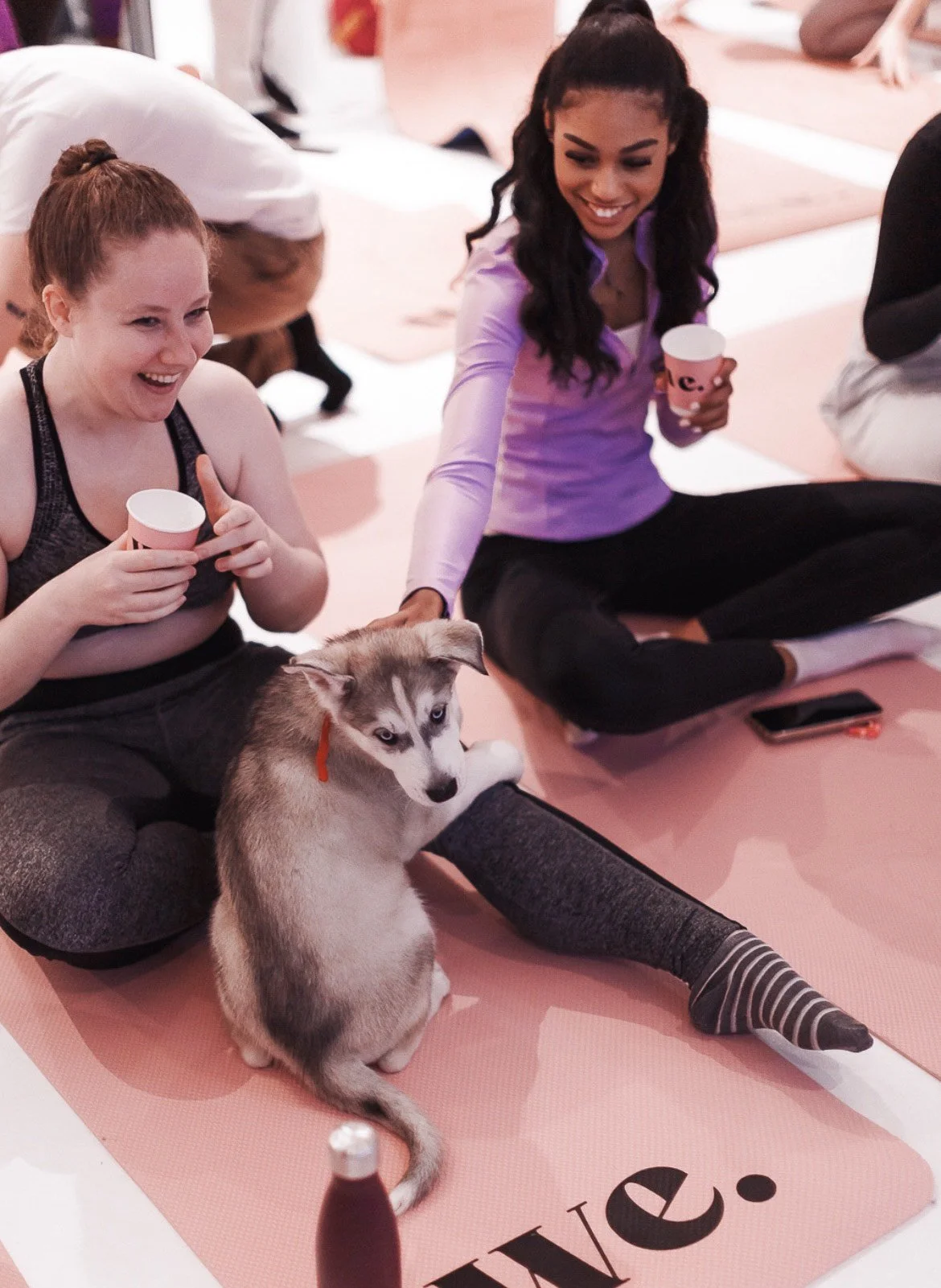 Yoga and Puppy Snuggles Experience