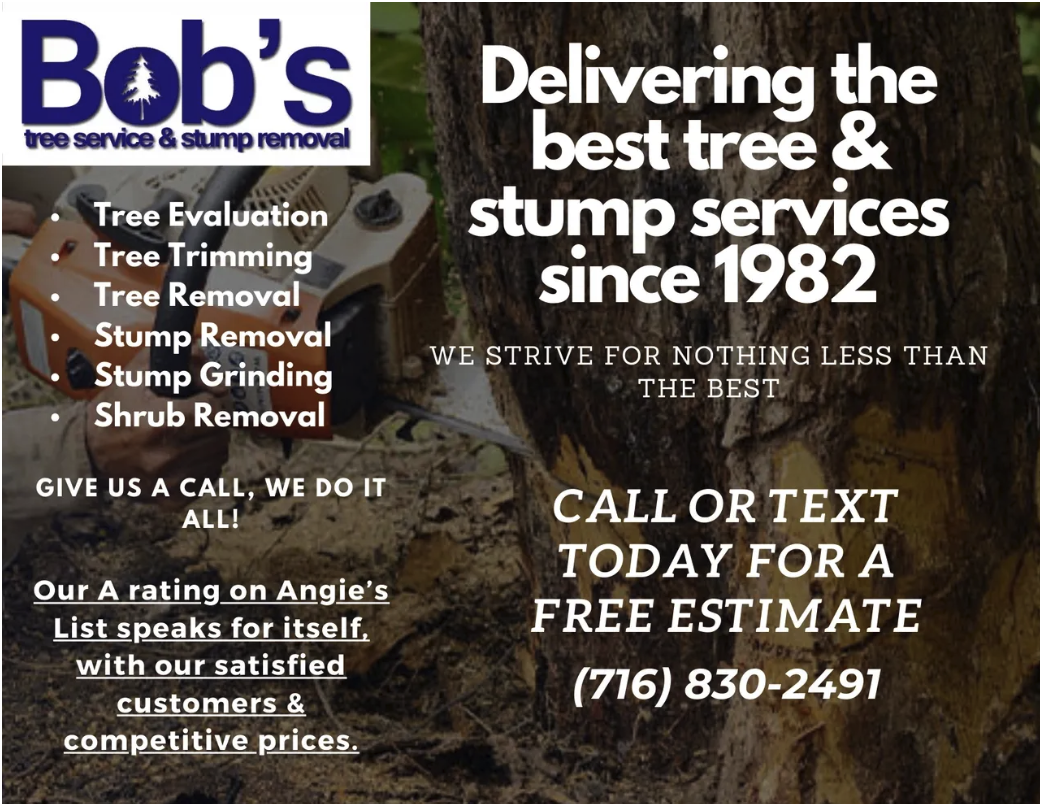 Bob's Tree Service & Stump Removal - Direct Mail Copy Project
