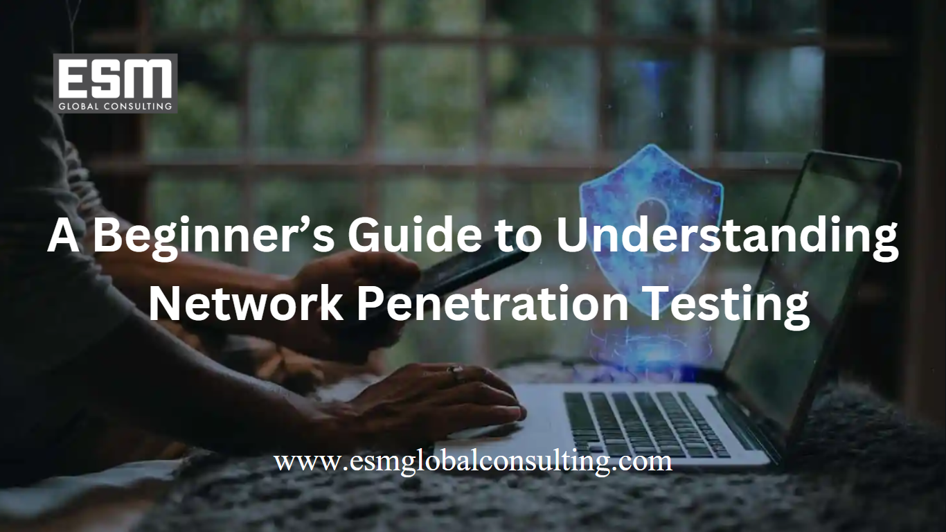 A Beginner’s Guide to Understanding Network Penetration Testing — ESM ...