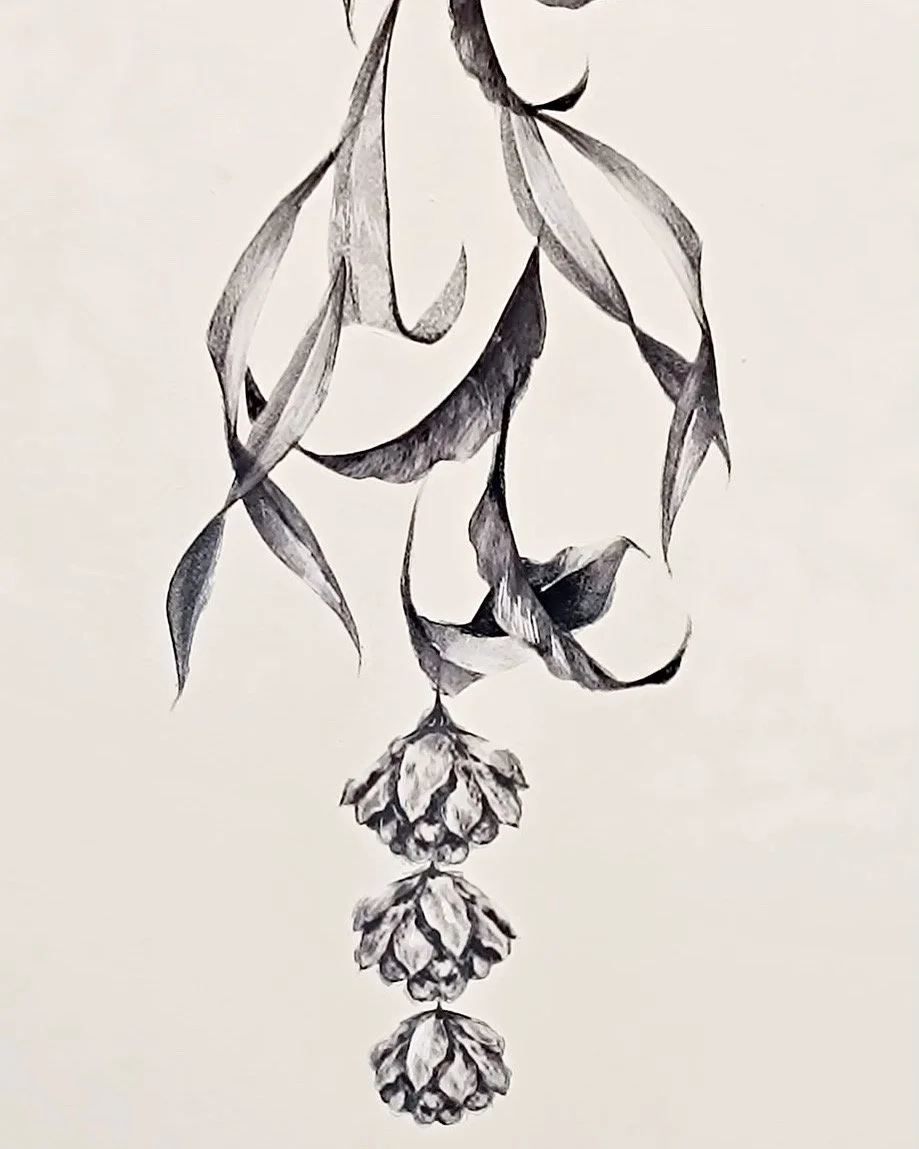 57776E1E-92D8-42EC-A2F1-4487EE8E414E.jpeg