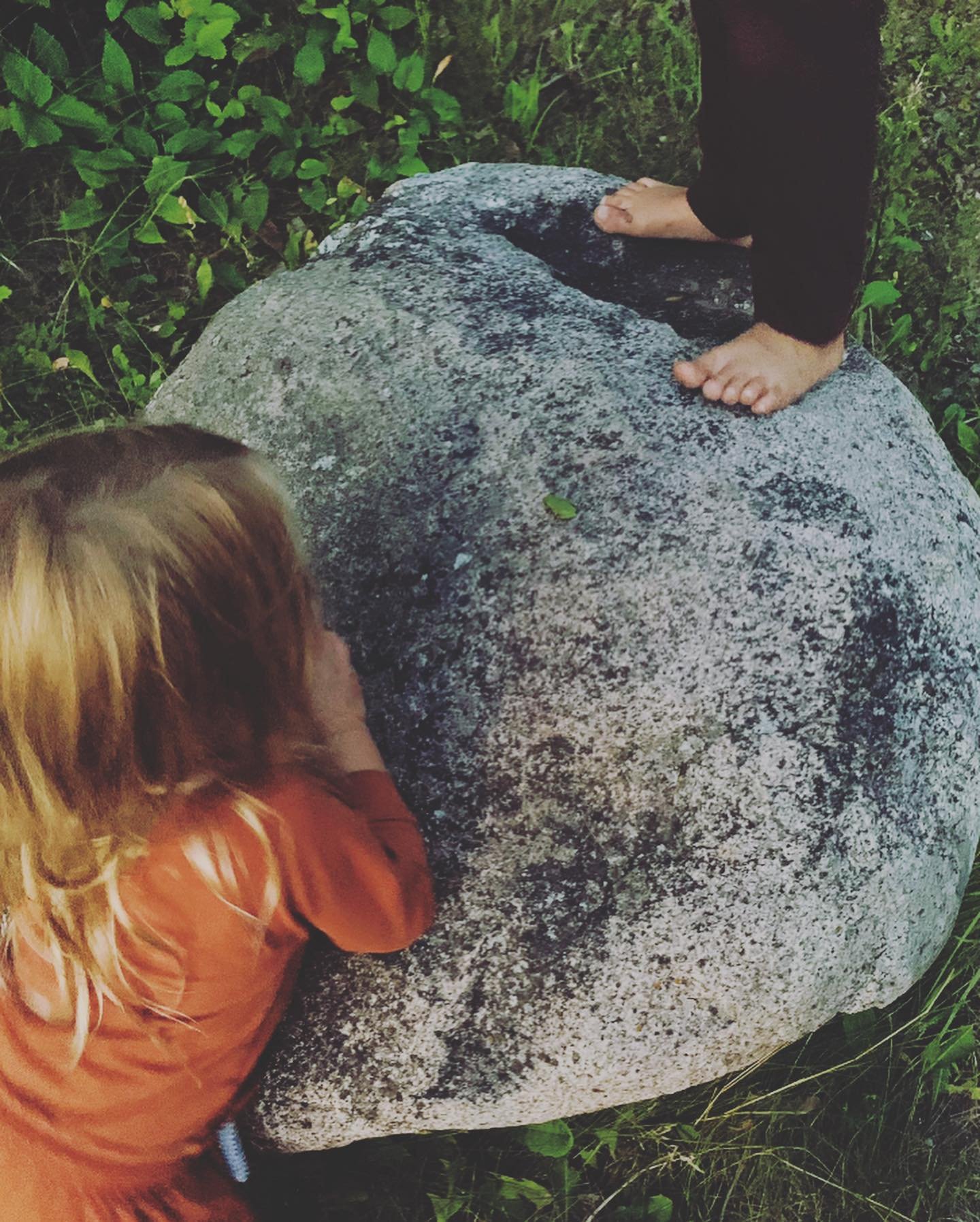 Little tree frog sighting at dusk. 🌱
#grandbeachcampground #surfsidetrailer #treefrogsofinstagram #manitobatreefrog #boler #vintagecampers