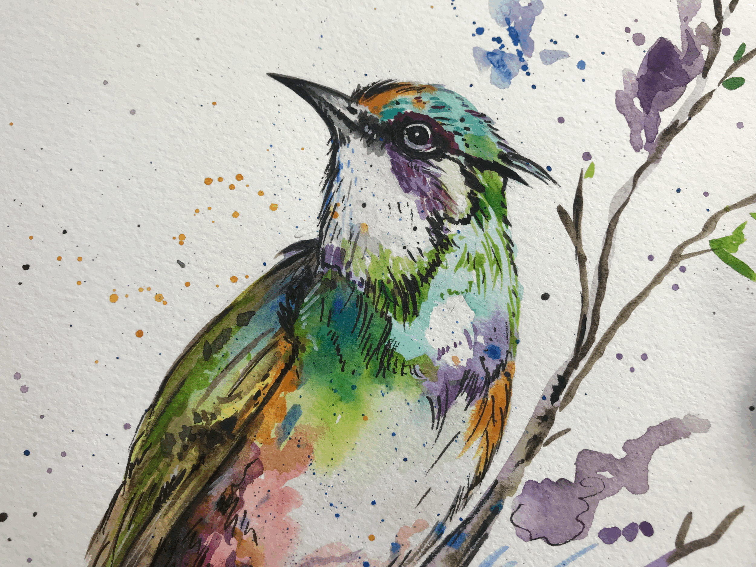 Colorful bird # 2