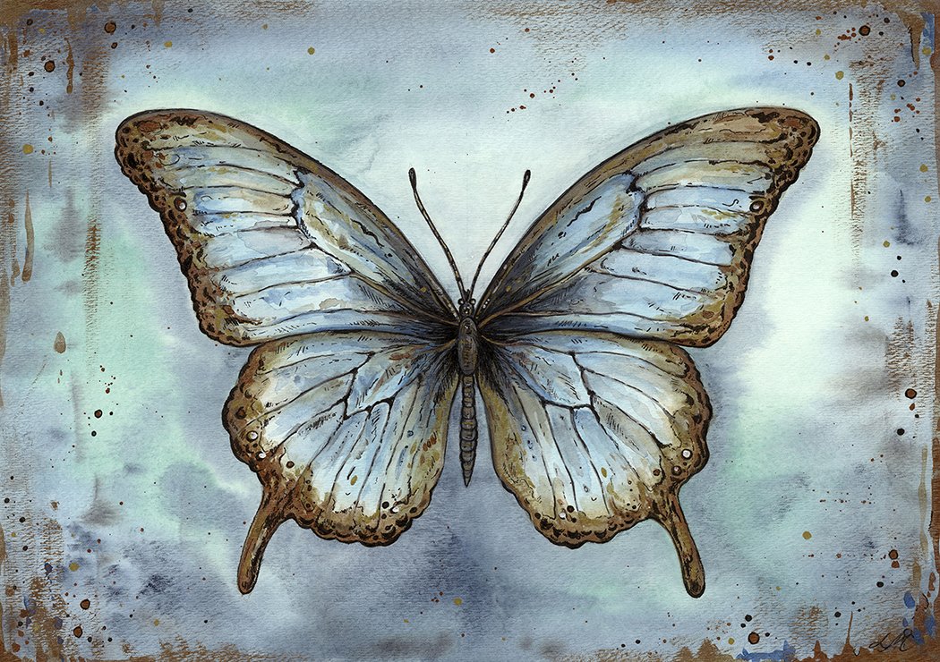 Blue Butterfly