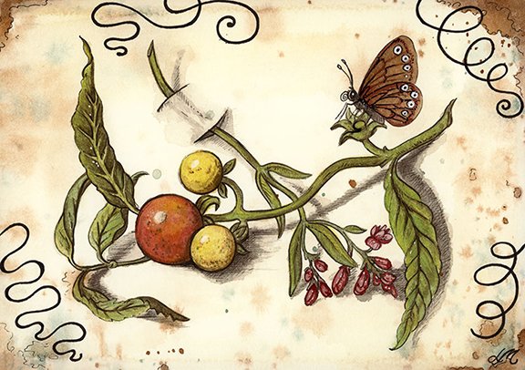 Vintage Still life # 13