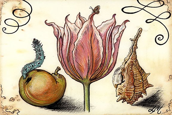 Vintage Still life # 6