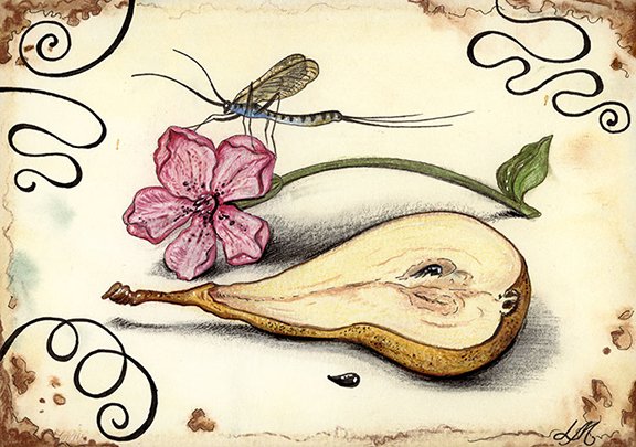Vintage Still life # 9