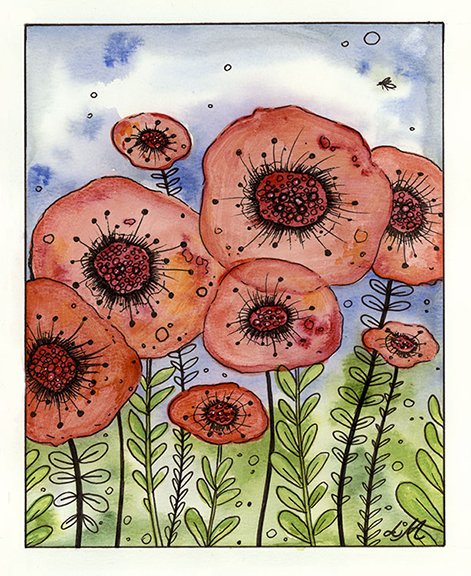 Red Poppies Flowers