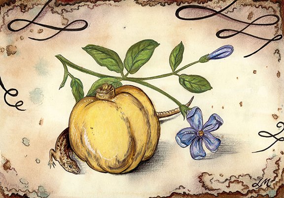 Vintage Still life # 8