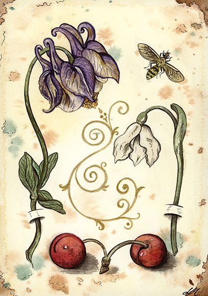 Vintage Still life # 10