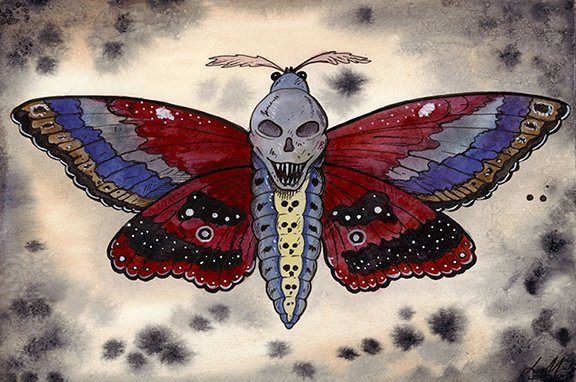 Halloween Moth