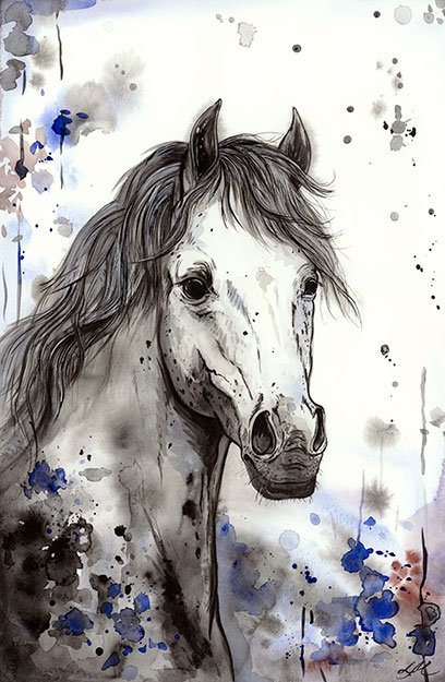 Gray horse