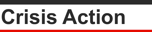 Crisis Action.png