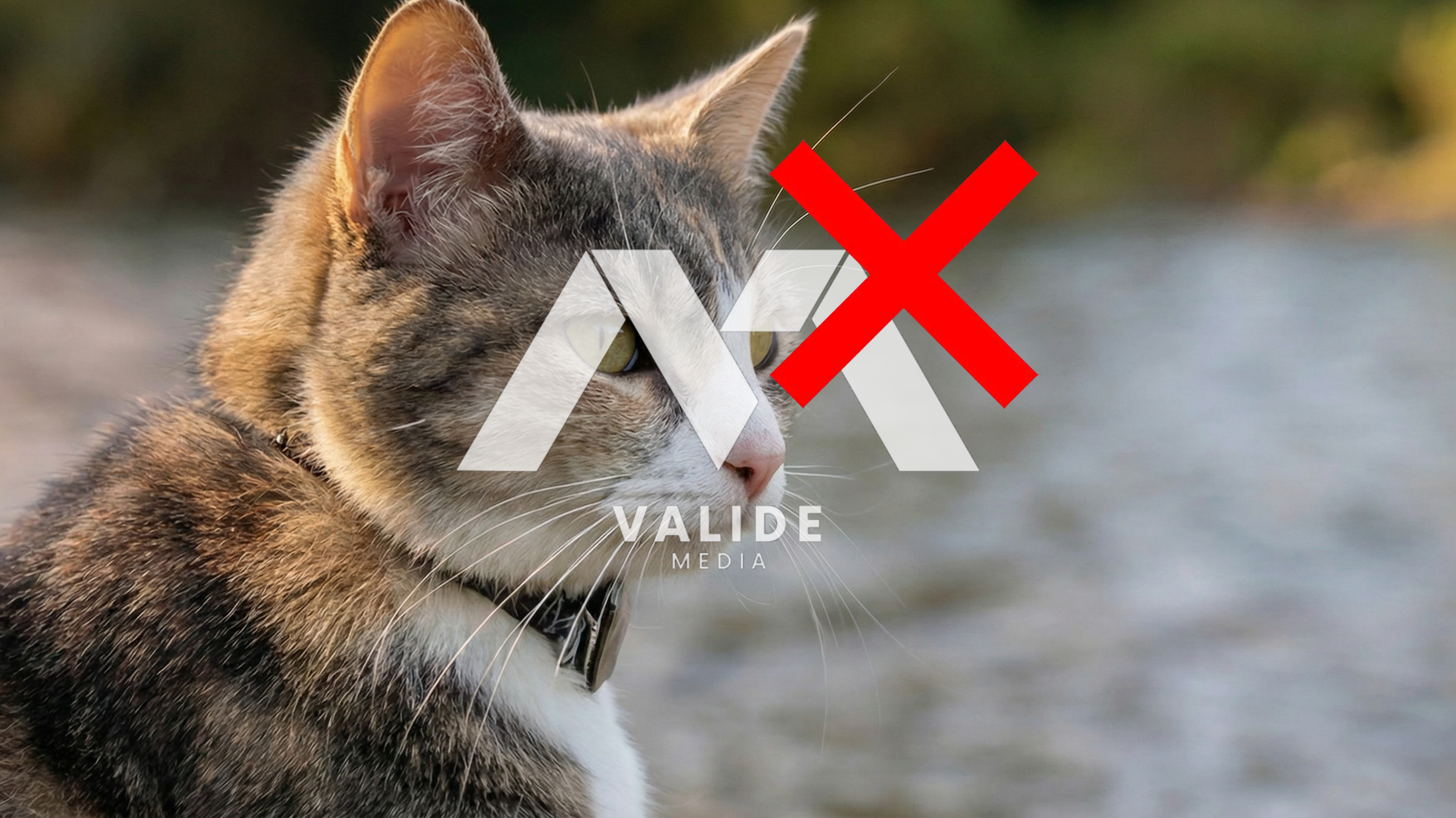 Untitled design (6).png