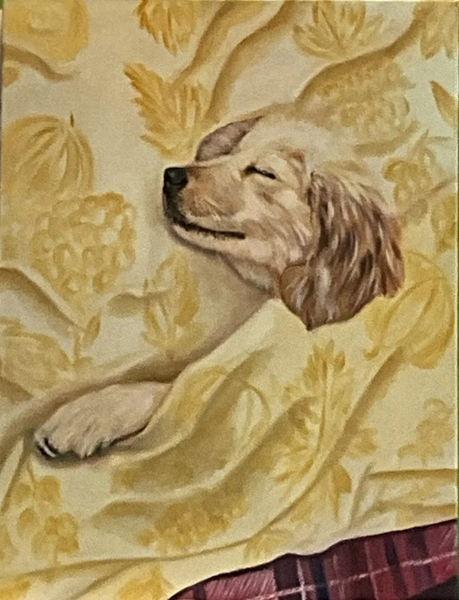 "Cozy Nap" - Oil on Canvas - 60x45 cm **SOLD**