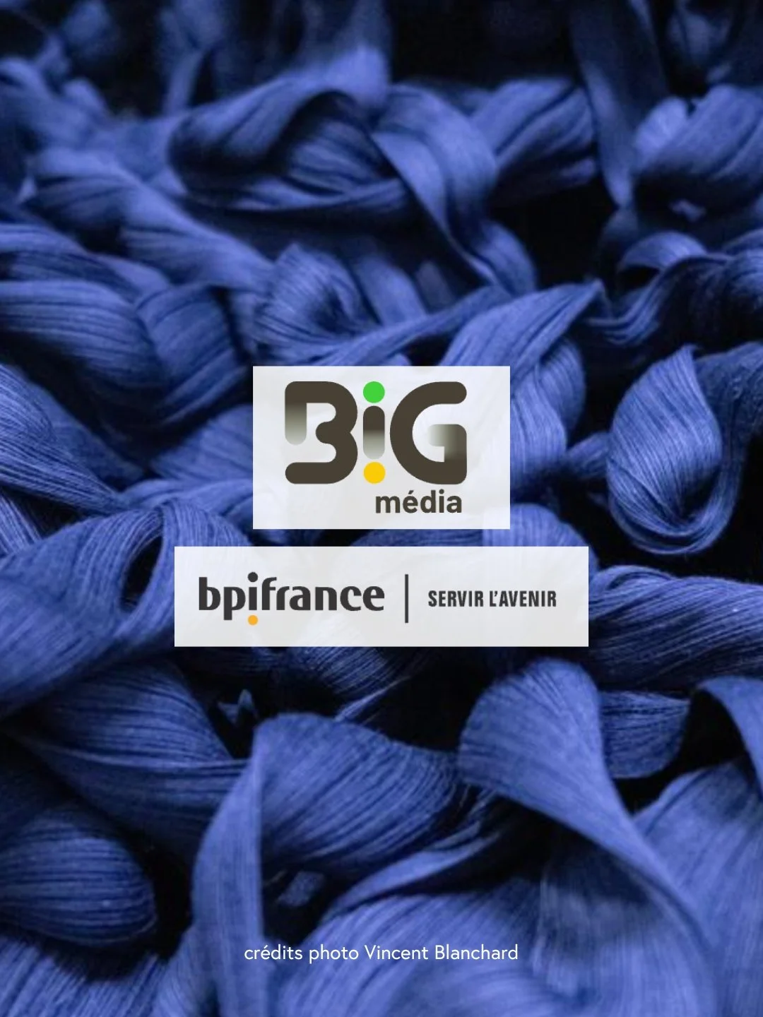 Marché de la couleur : ces 2 startups développent des solutions biosourcées non polluantes. Big Média, BPI France, août 2025.