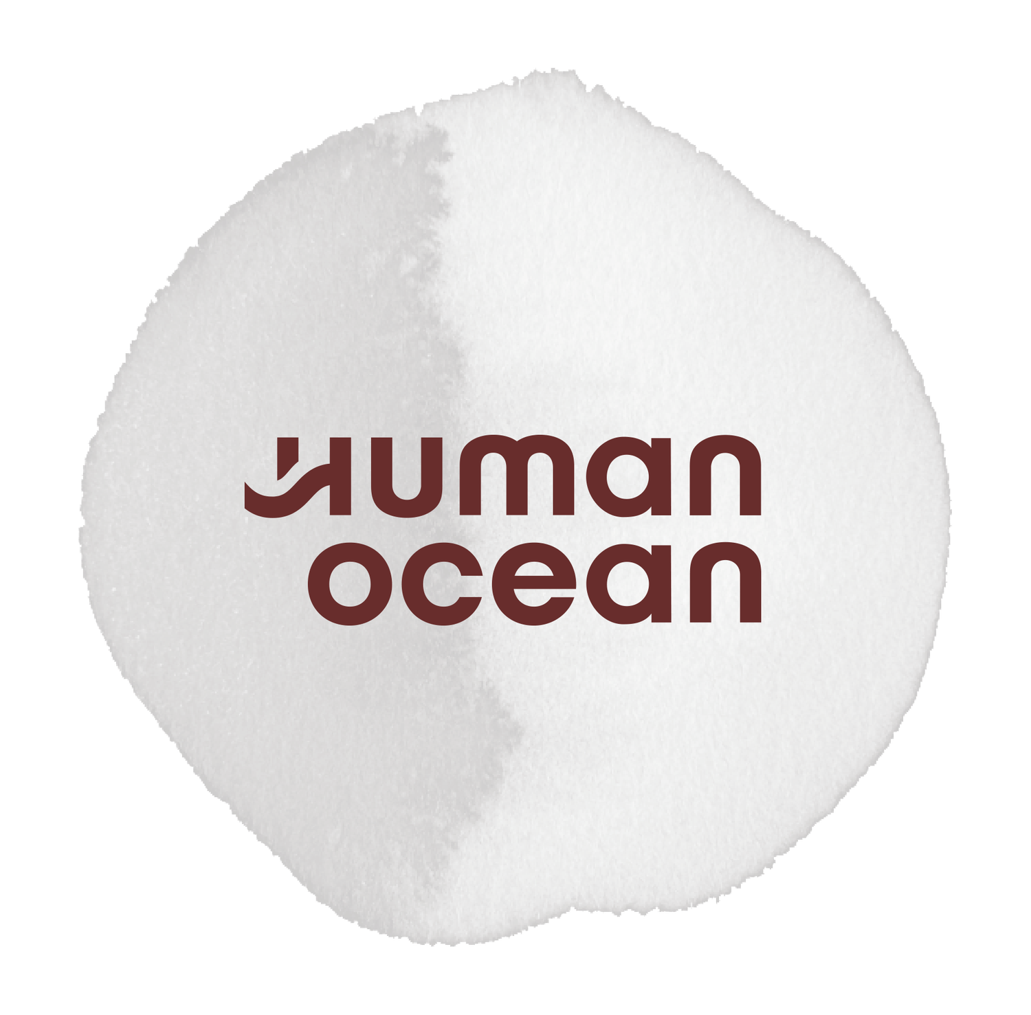 HUMAN OCEAN GROUP