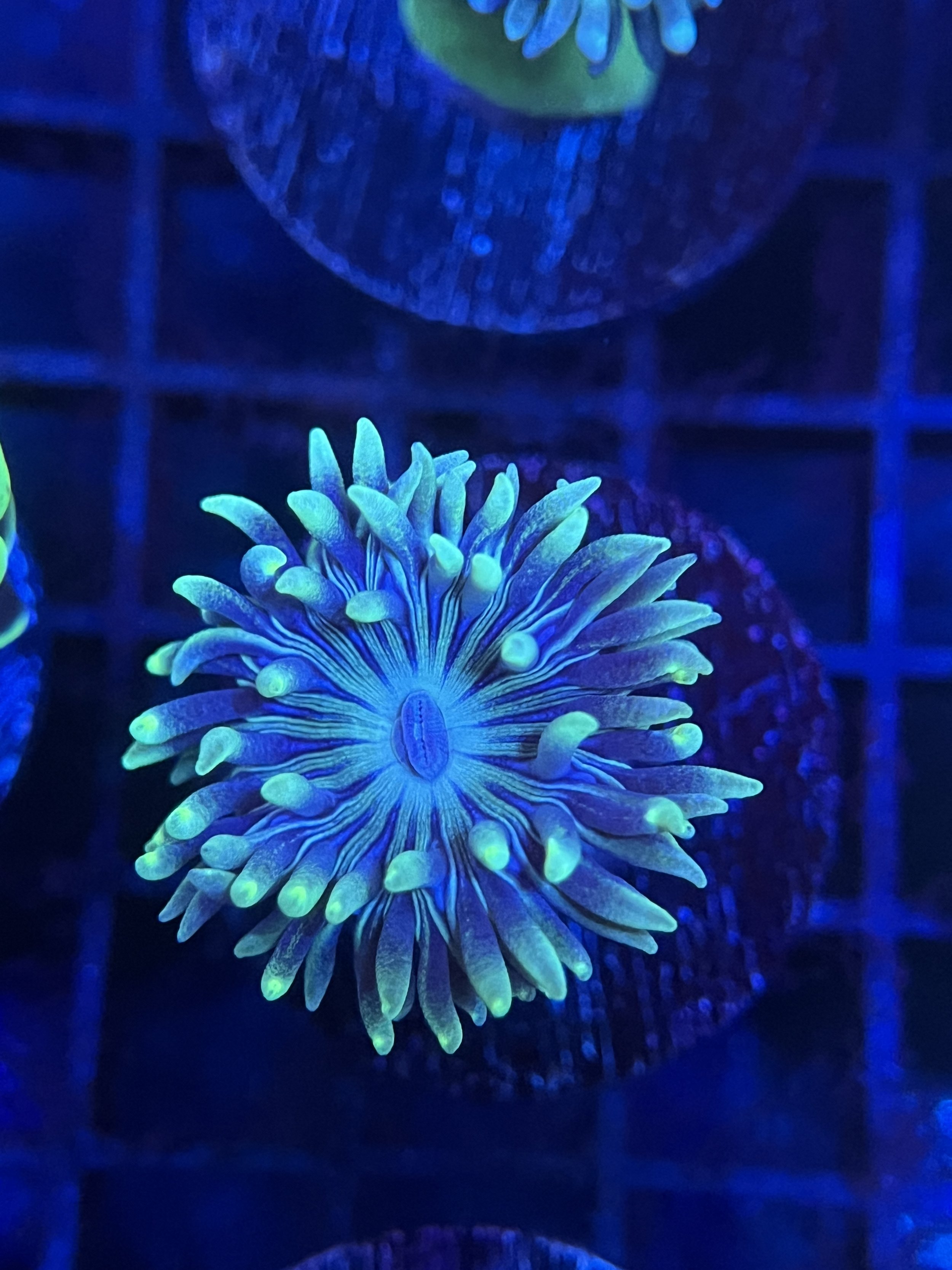 95A6E253-0300-47AB-8F53-B36DAE6CFA1B.jpeg