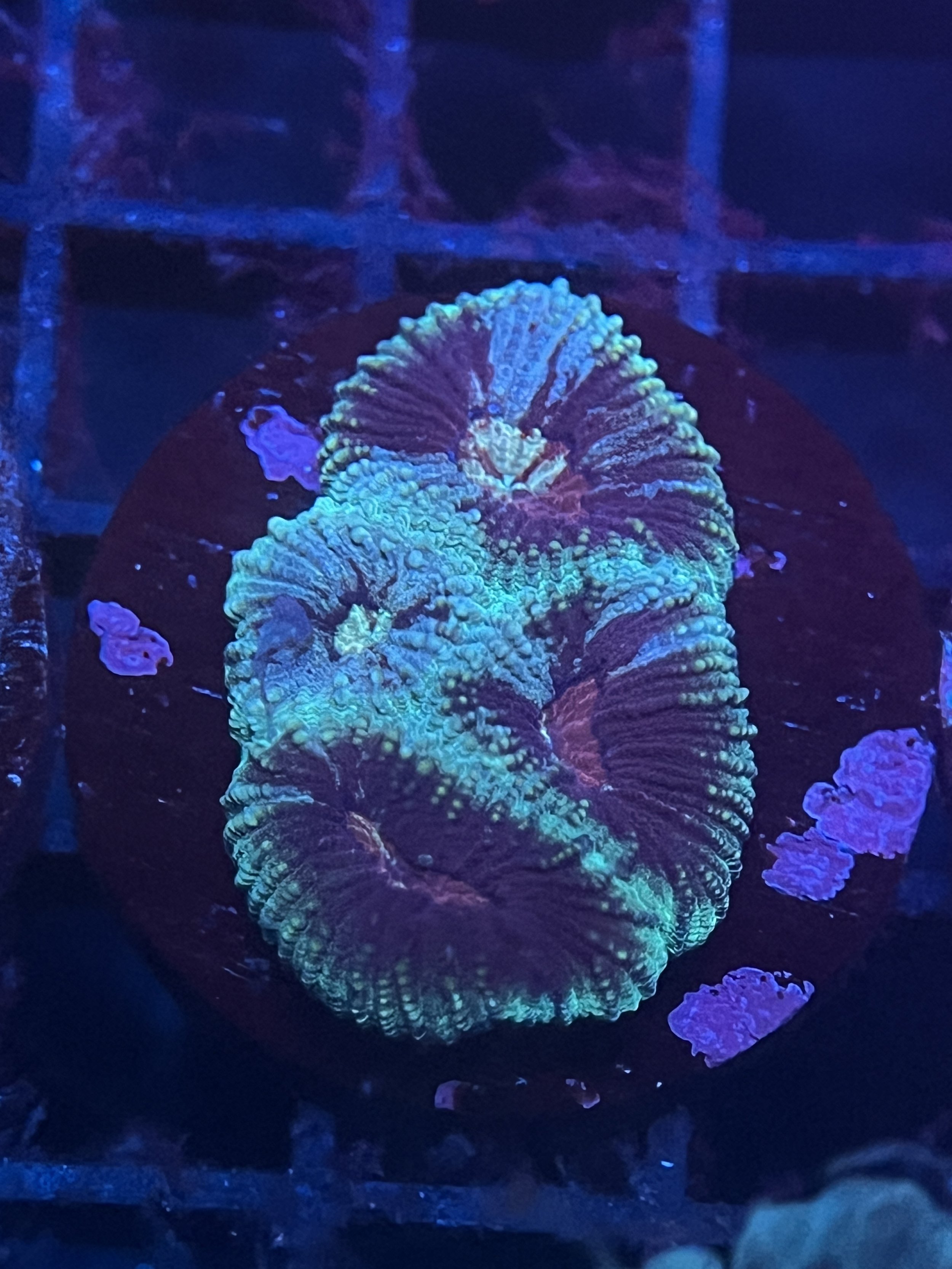 B930D3D4-7282-4DAB-9658-8F85857185D3.jpeg