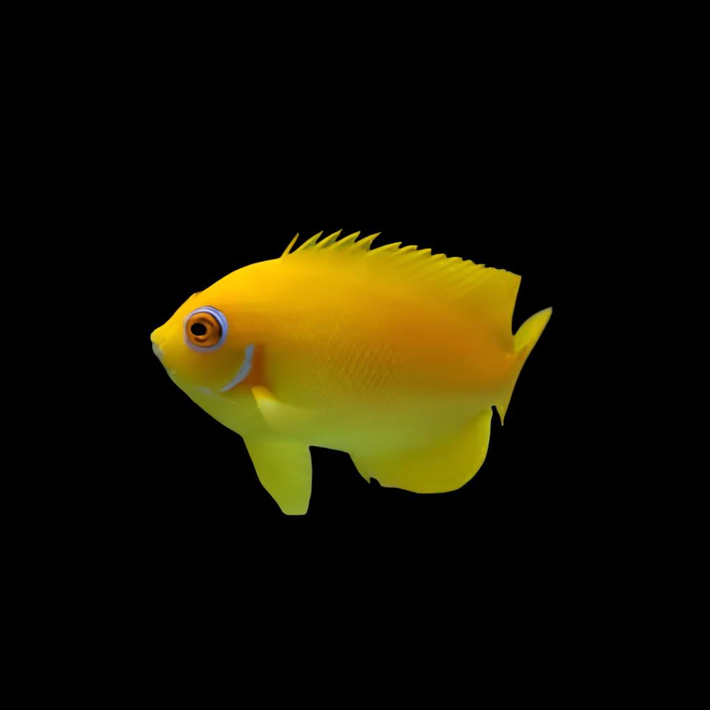 LEMON PEEL.png