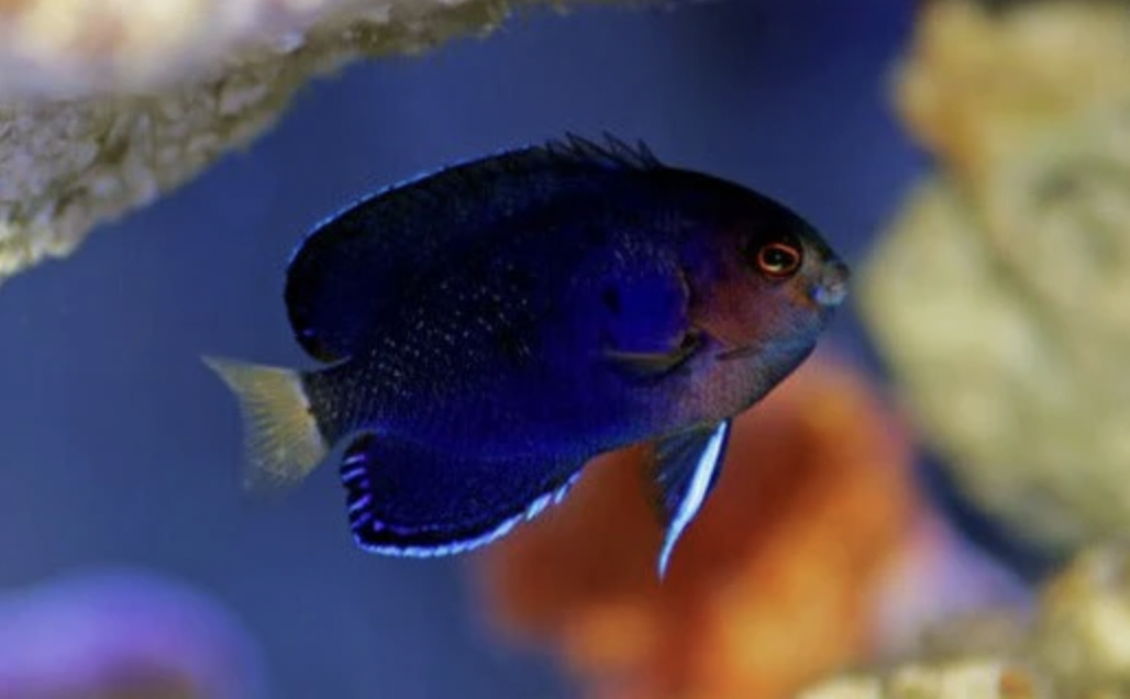 Screen Shot 2025-11-05 at 11.34.47 AM.png