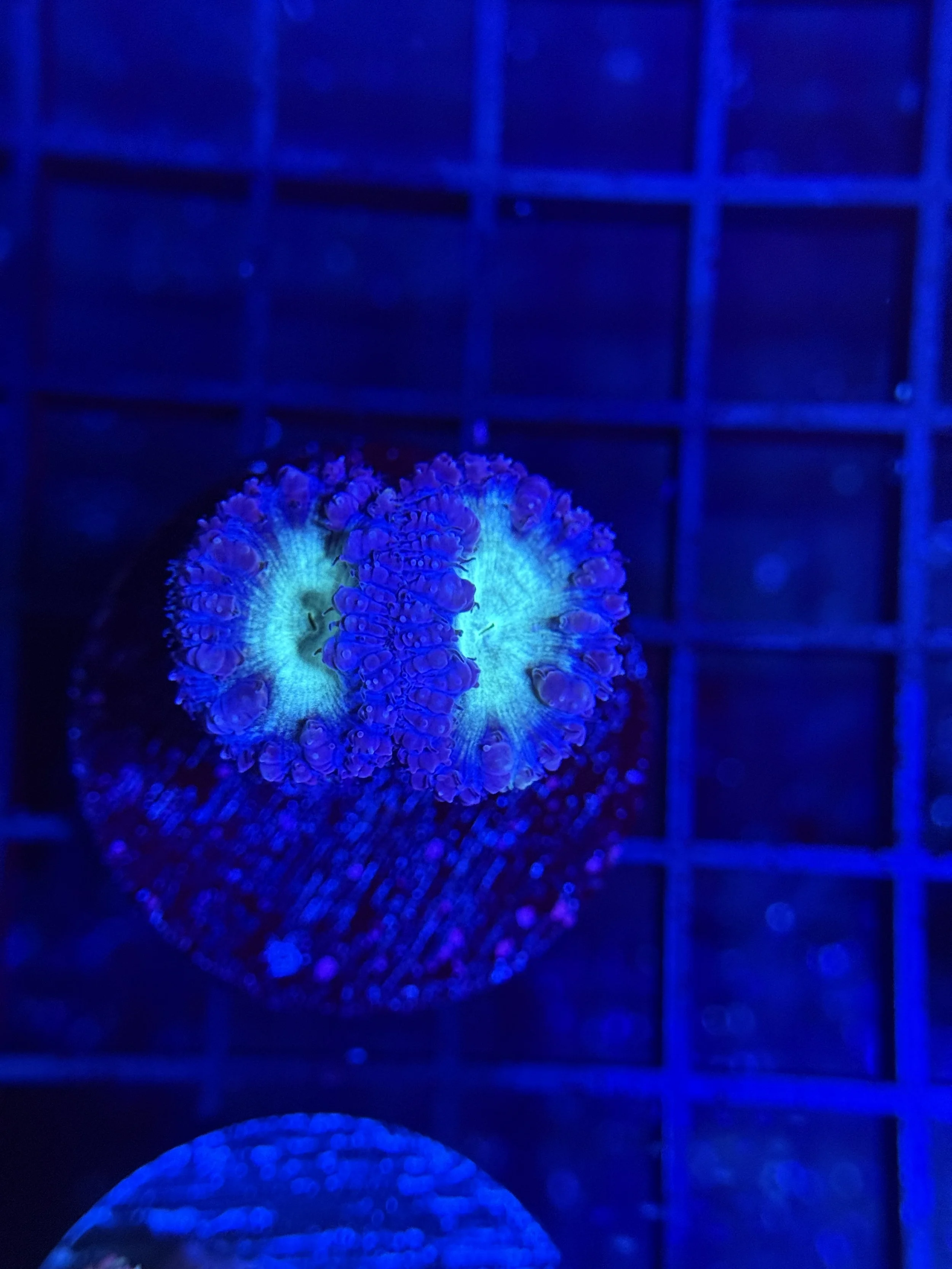 264CF486-8E7E-49D3-93B8-3B290662416C.jpeg
