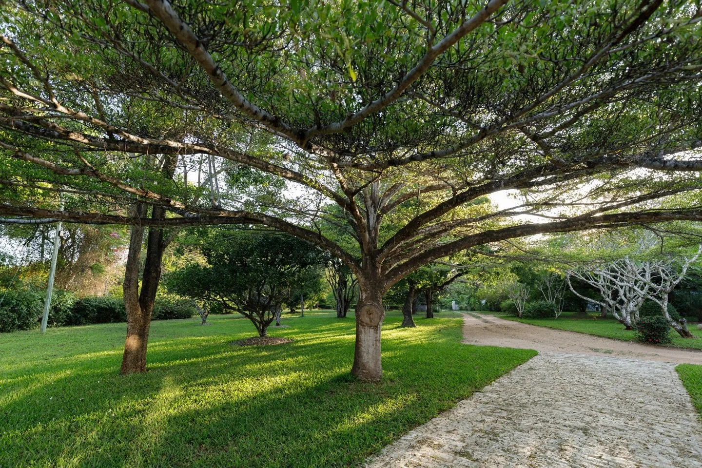 Gorgeous trees surround the property, creating shade, calm, and that feeling of being completely tucked into nature.

For more information, please visit www.nderitkilifi.com or contact us at
info@nderitkilifi.com 

Photo : @imara.studios 

#nderithou