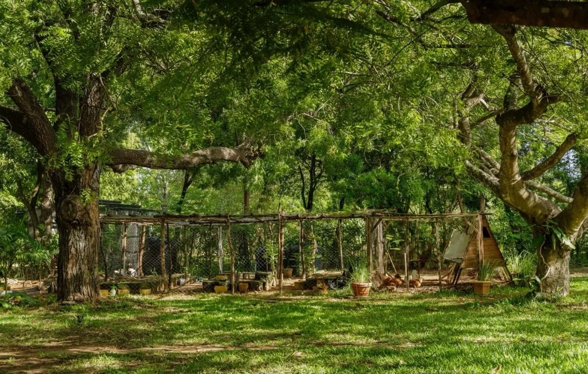 Our garden shamba, where fresh herbs and vegetables grow under the coastal sun, bringing the true taste of Kilifi to every meal.

For more information, please visit www.nderitkilifi.com or contact us at
info@nderitkilifi.com 

Photo : @imara.studios 