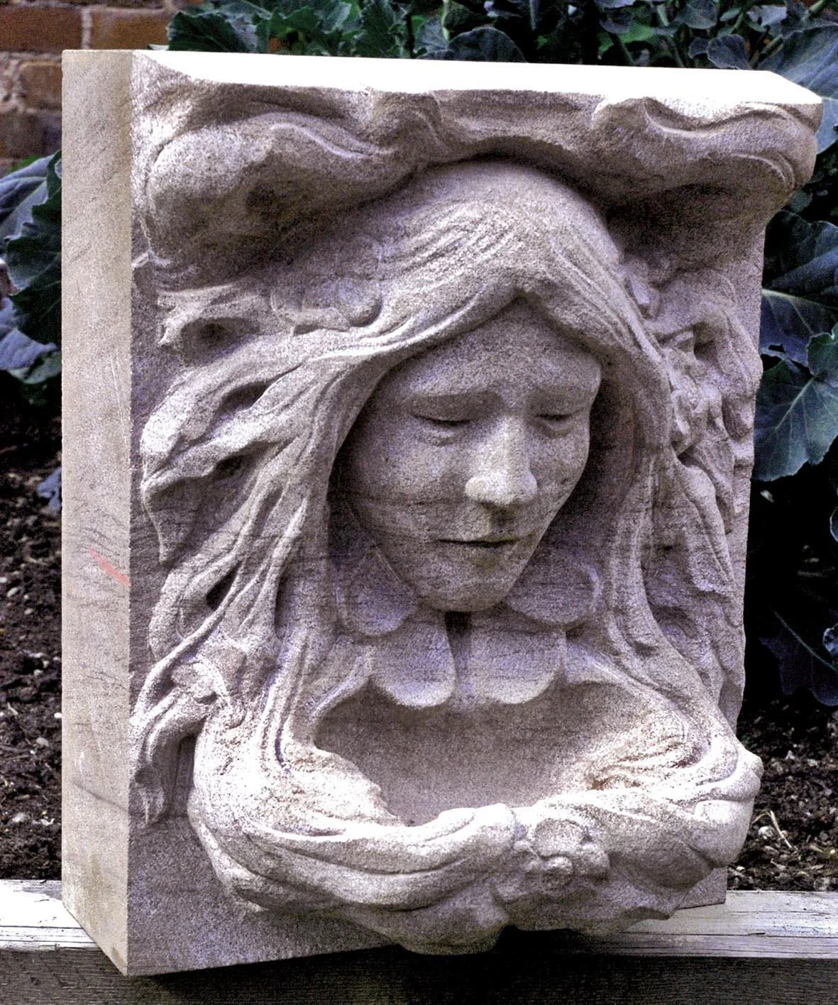 Sarah fin web 1.jpg