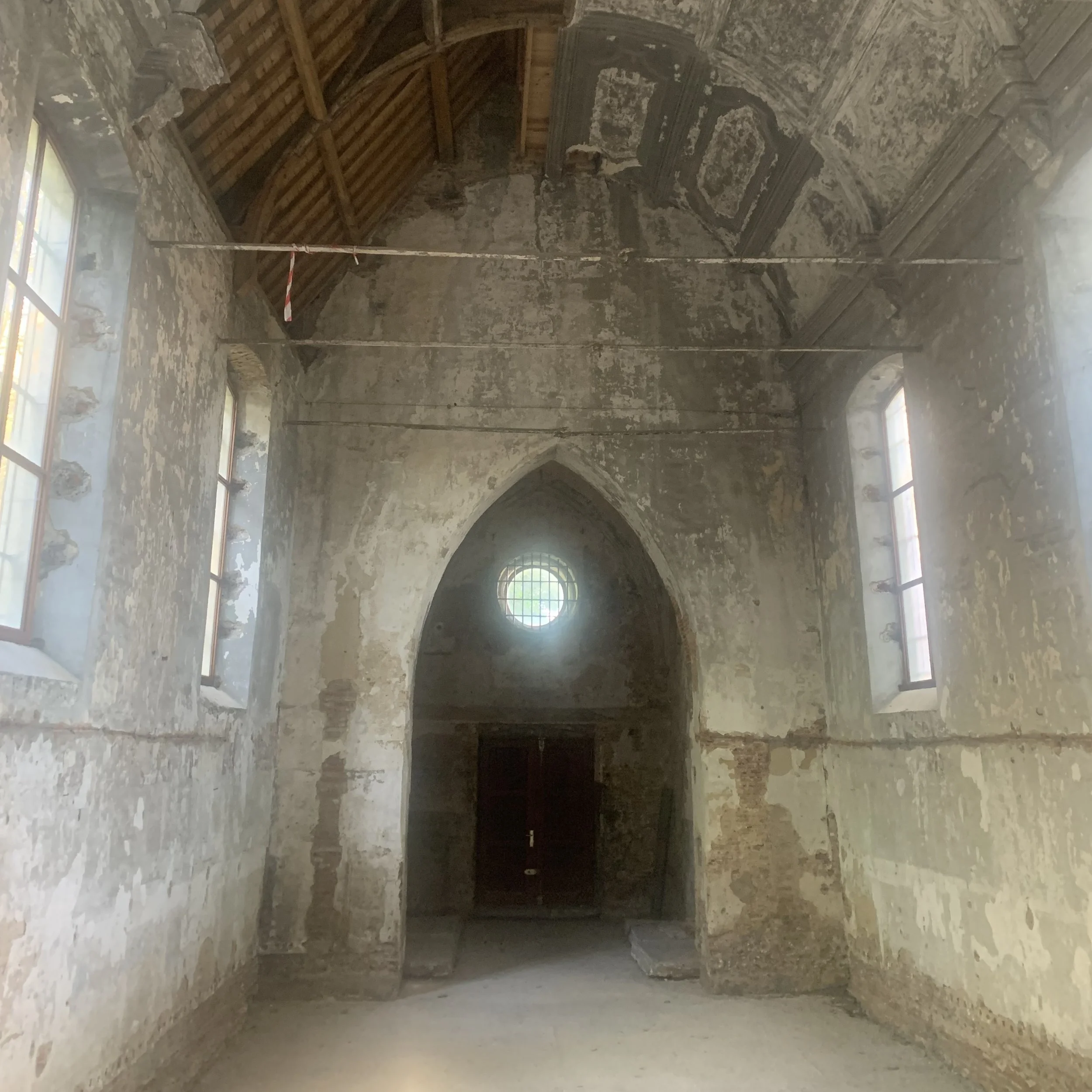 KOOS 03 IMG_9050.JPG